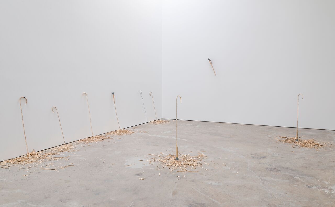 David Adamo, Untitled (Music for Strings) at Ibid, photo 2