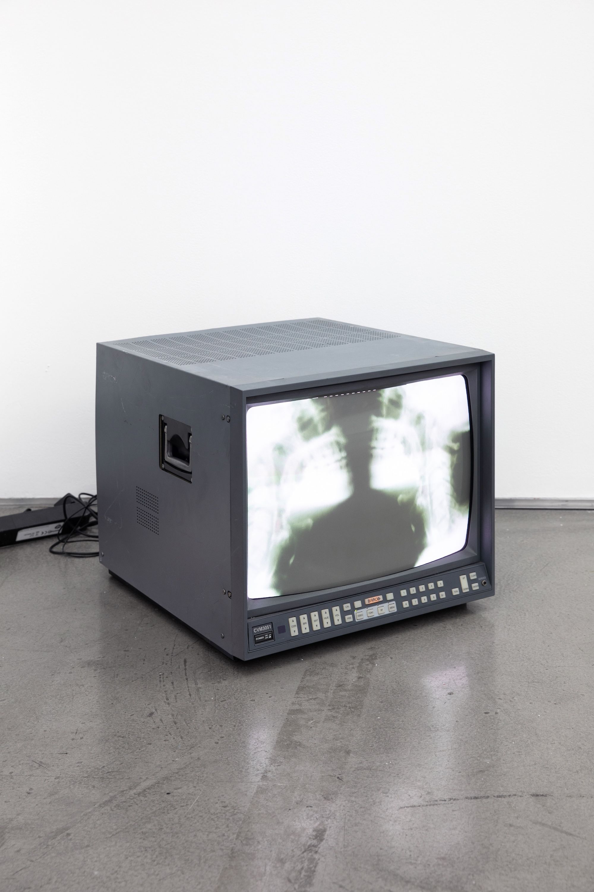 Margaux Meyer & Barbara Hammer, Strip to the Bones at Derouillon, photo 2