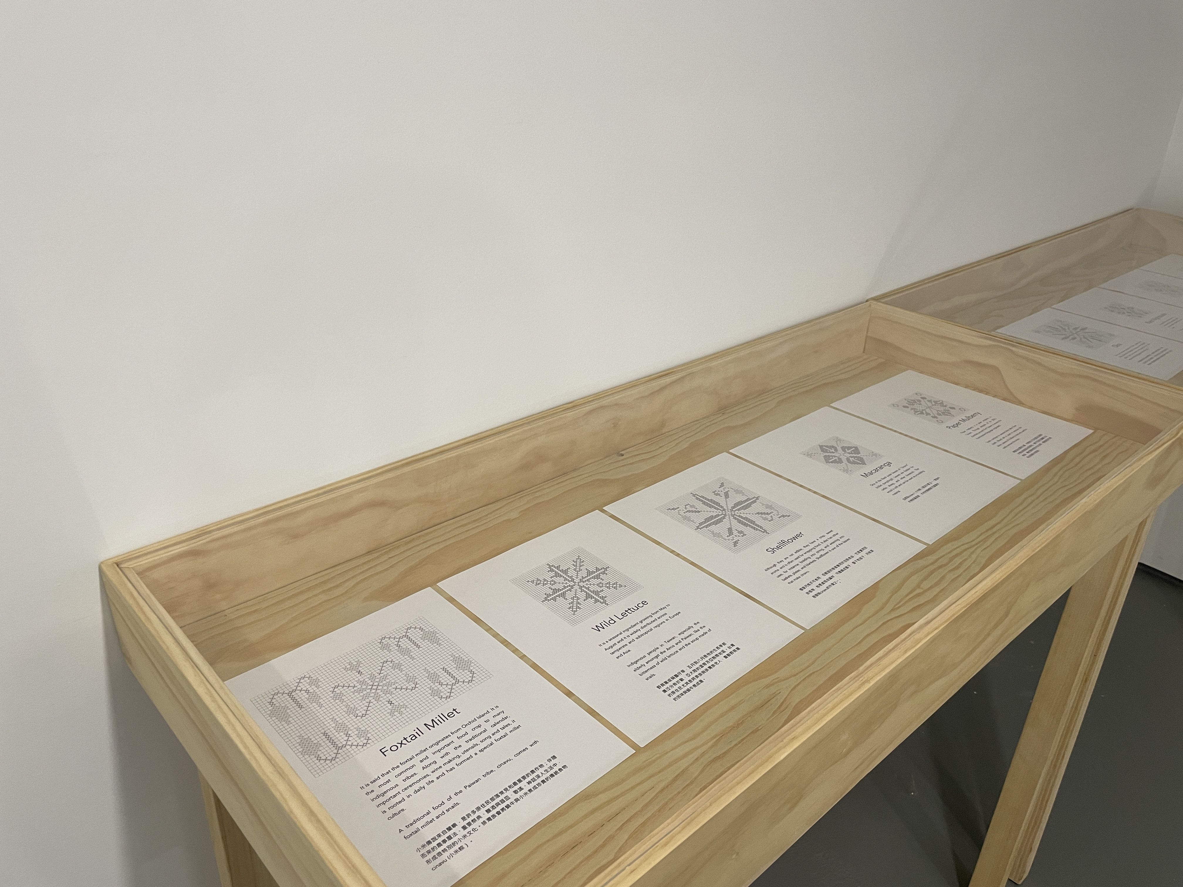 En-Man Chang, Mapping Snail at Nunu Fine Art, photo 3