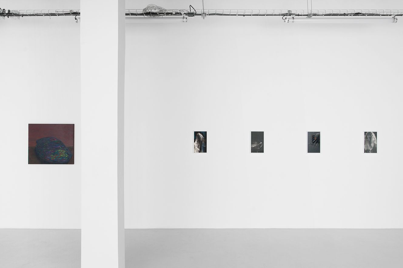 Random Access Memory, Random Access Memory at Air de Paris, photo 2