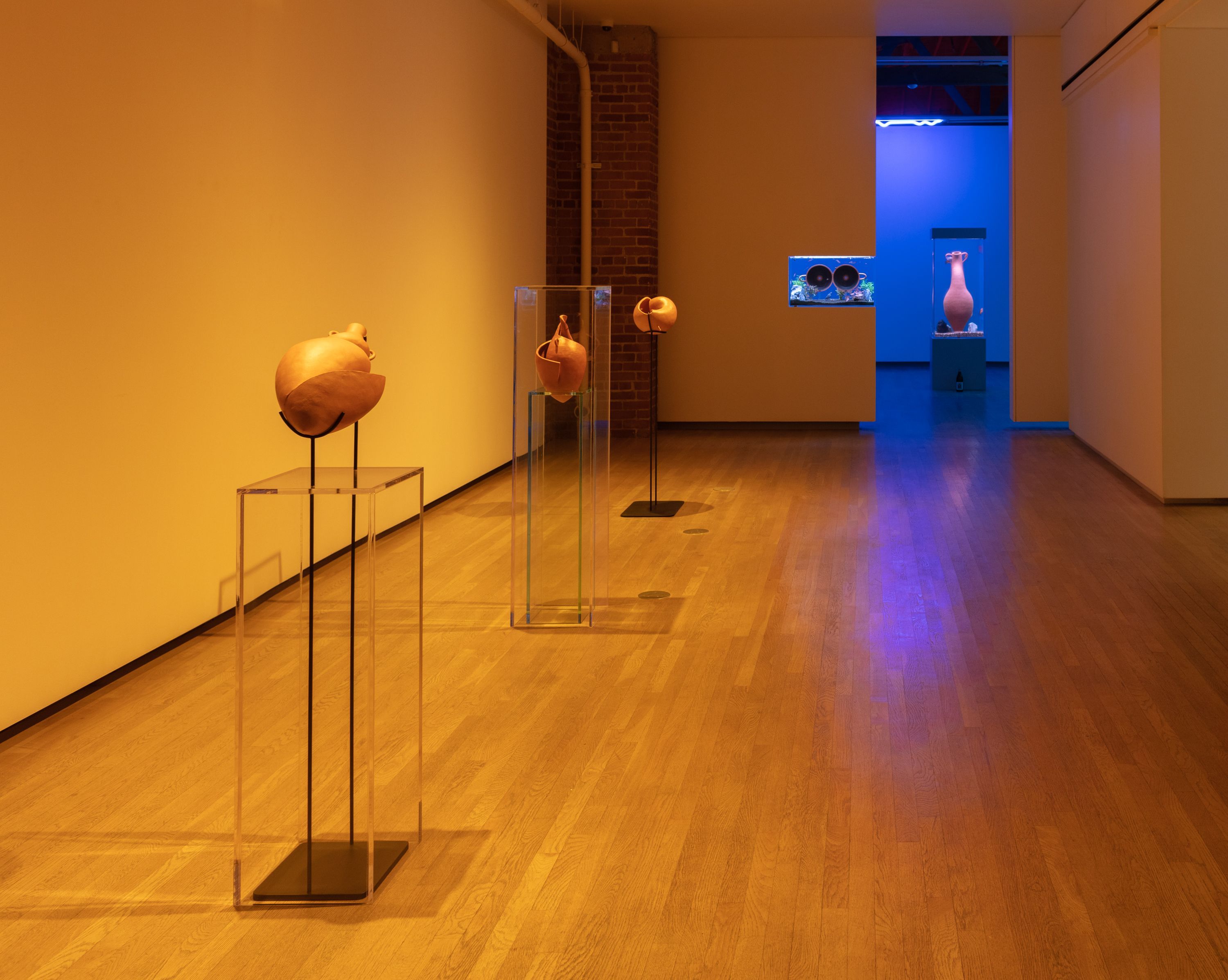 Cammie Staros, What Will Have Being at Shulamit Nazarian, photo 2