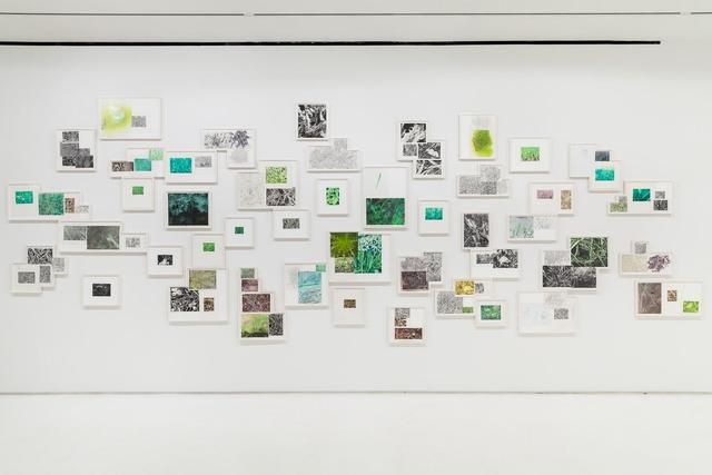 Kim Beck, A Great Piece Of Turf at Mixed Greens, photo 2