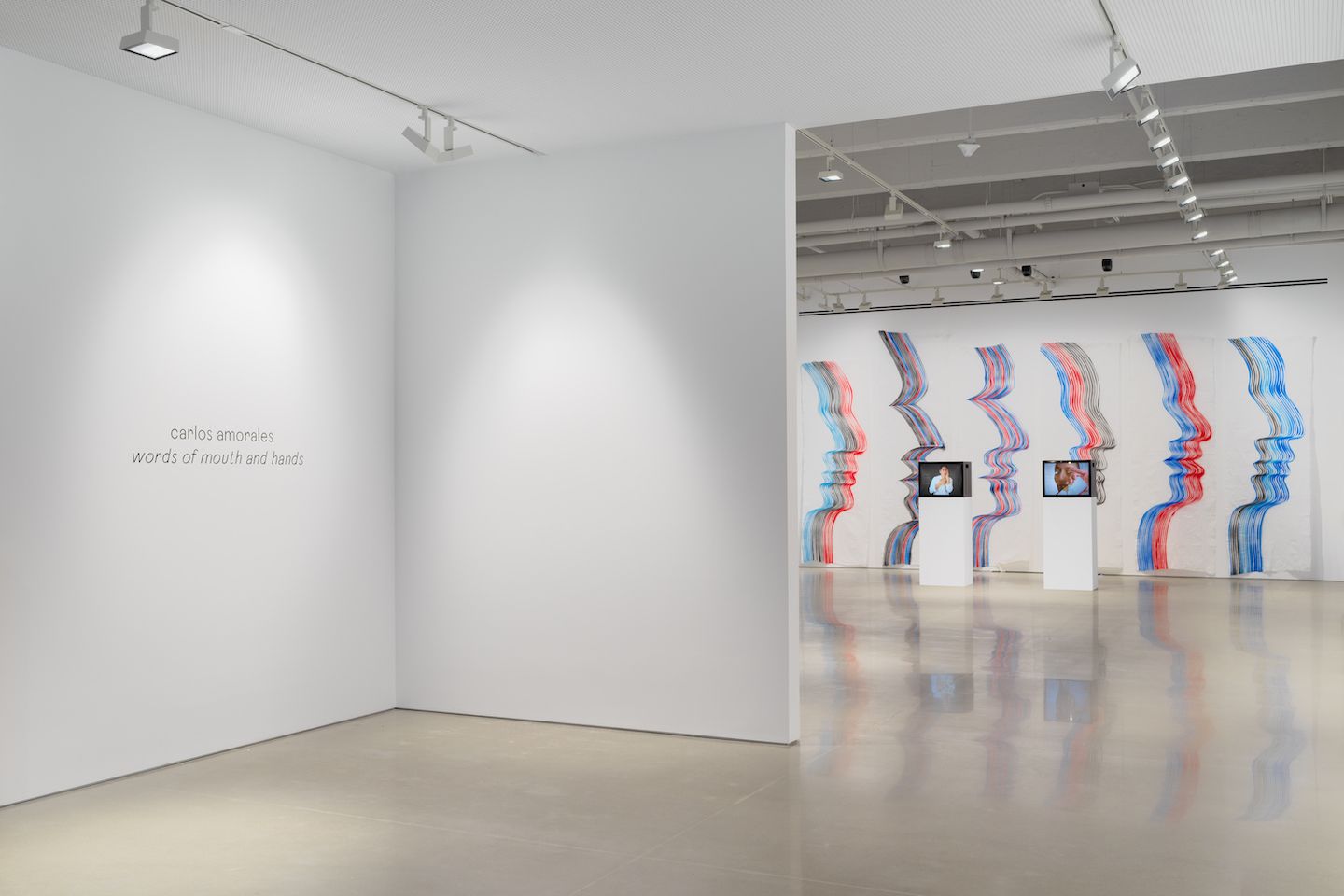 Carlos Amorales, Words of Mouth and Hands at Kurimanzutto, photo 6