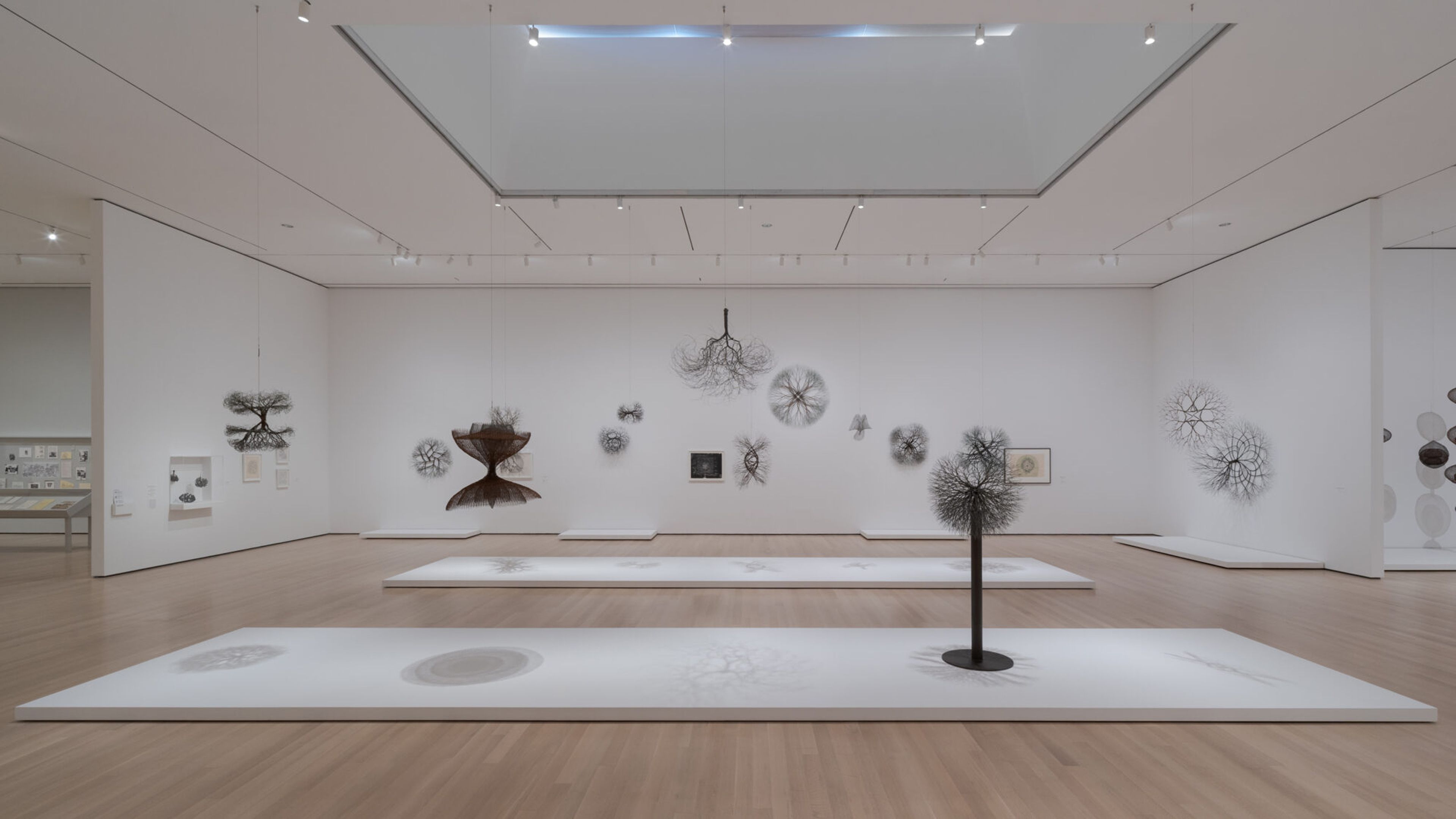 Ruth Asawa, A Retrospective at Museum of Modern Art, photo 3