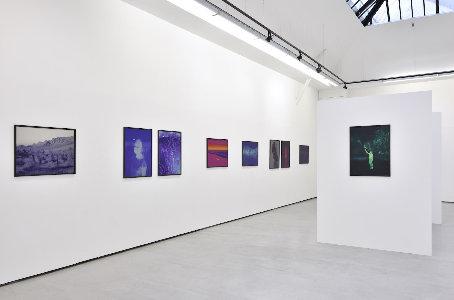 Smith, Dami at Christophe Gaillard, photo 9