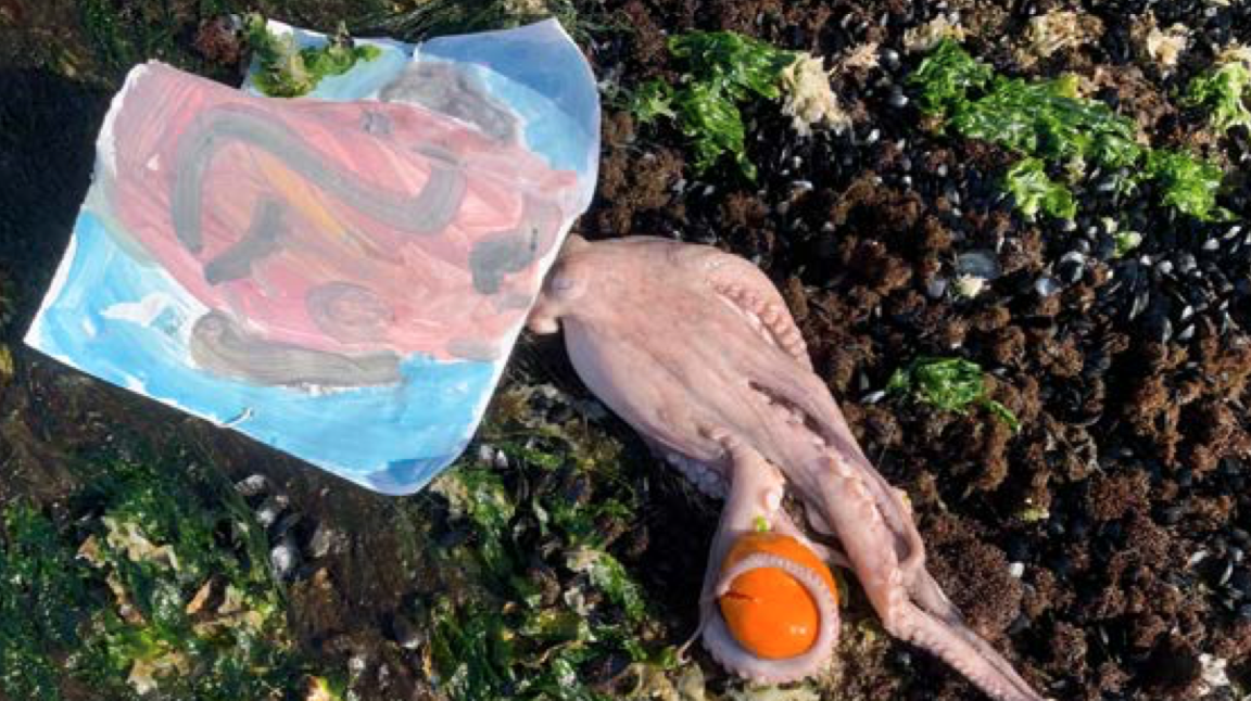 Laure Prouvost, image 3 of 3