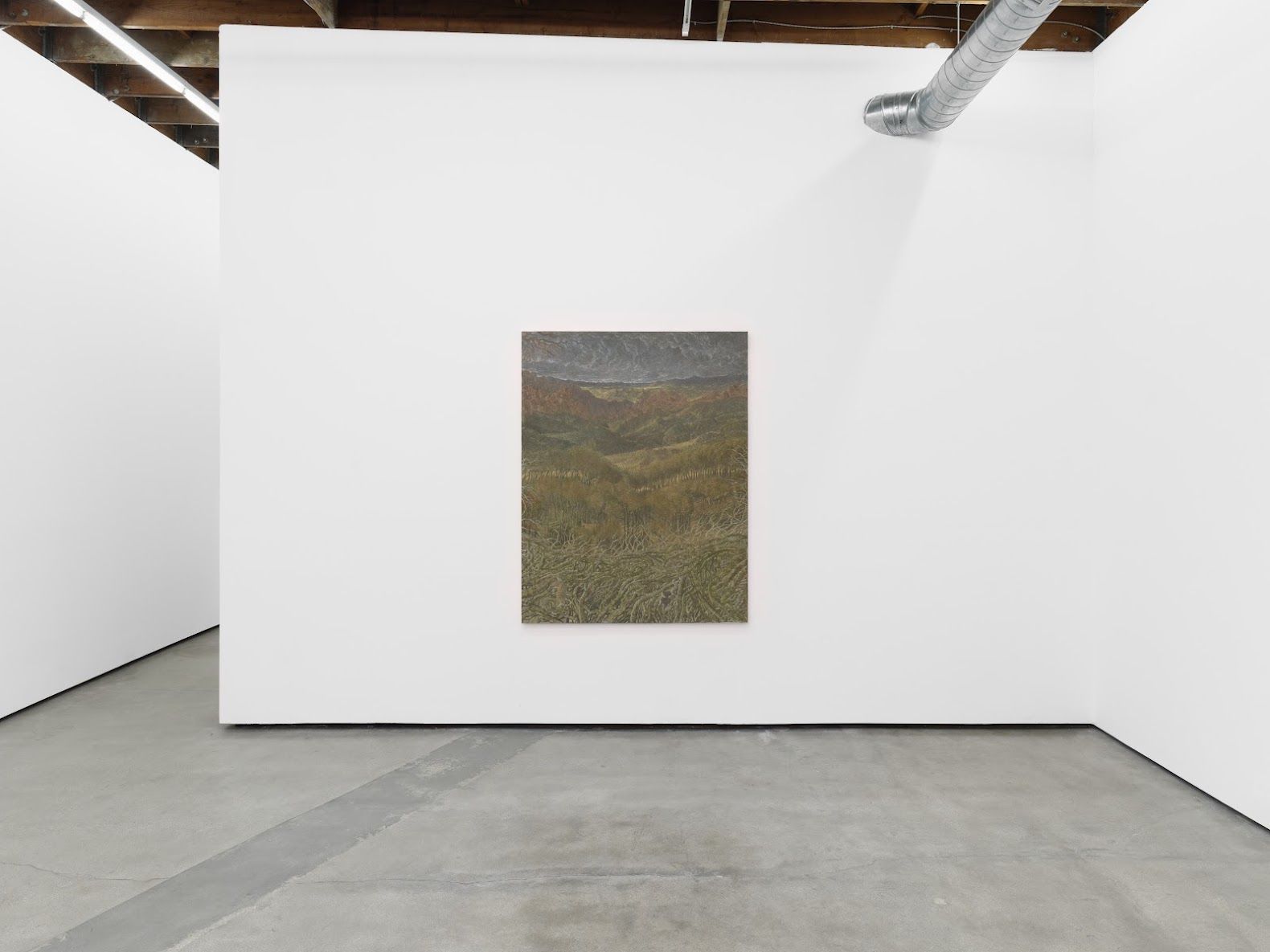 Francesco Cima, Ladra Terra at Amanita, photo 3