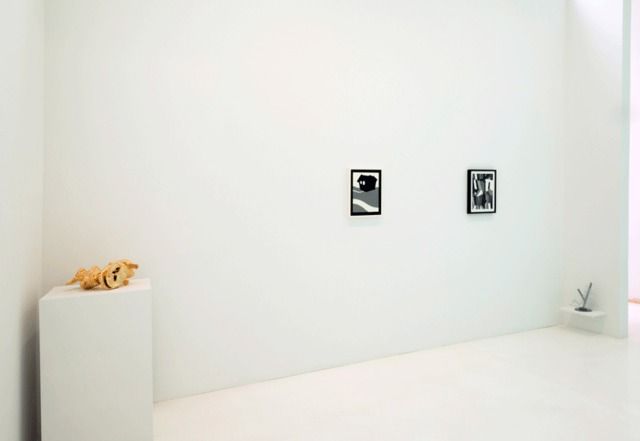 Particular Pictures, image 3 of 11