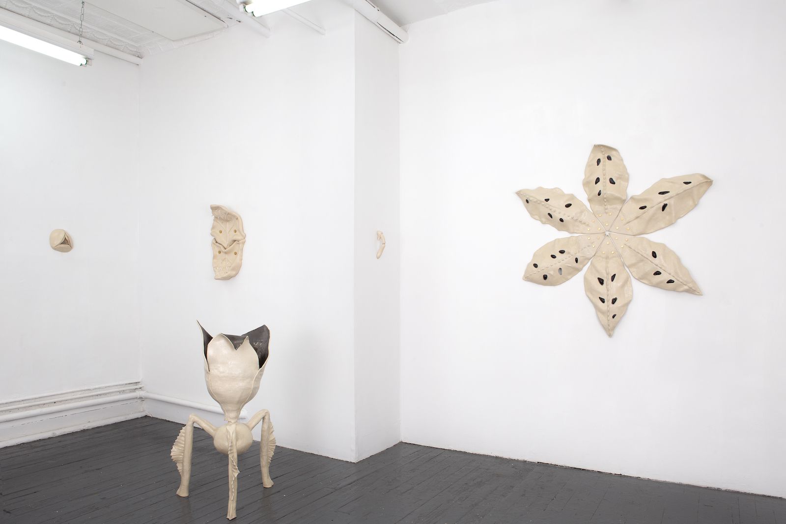 Alison Kudlow, Defensive Strategies for Tender Objects at Deanna Evans Projects, photo 2