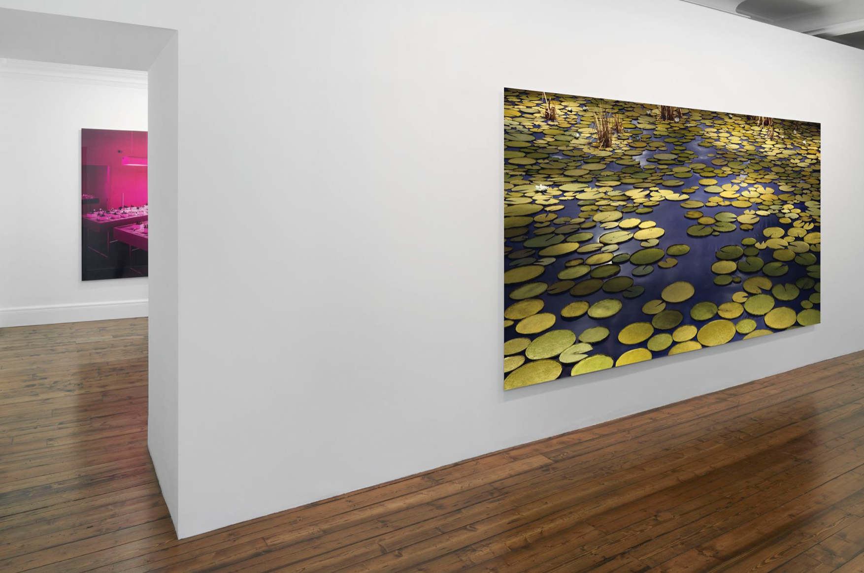 Thomas Demand, Thomas Demand at Sprüth Magers, photo 2