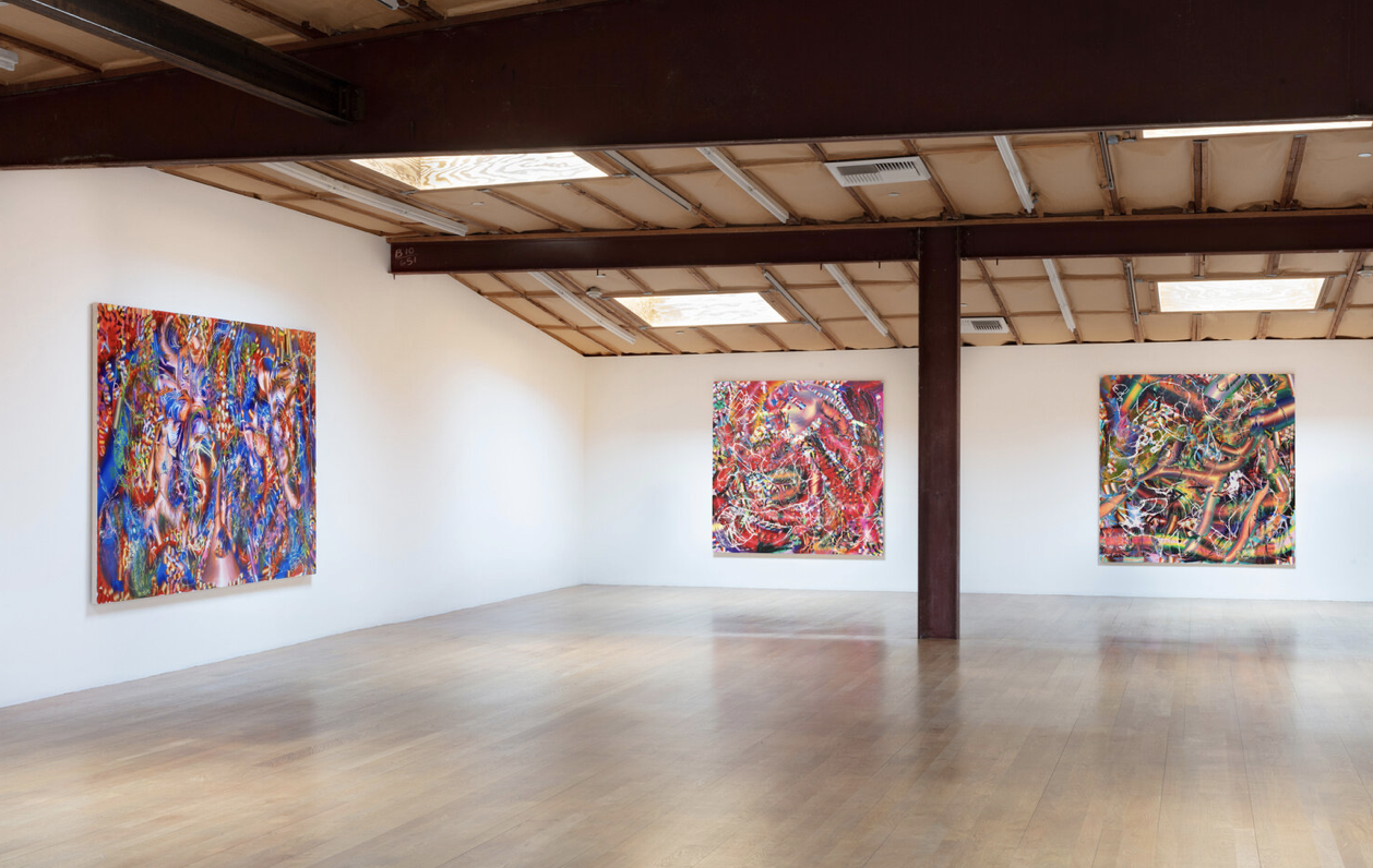 Lauren Quin, Pulse Train Howl at Blum & Poe, photo 8