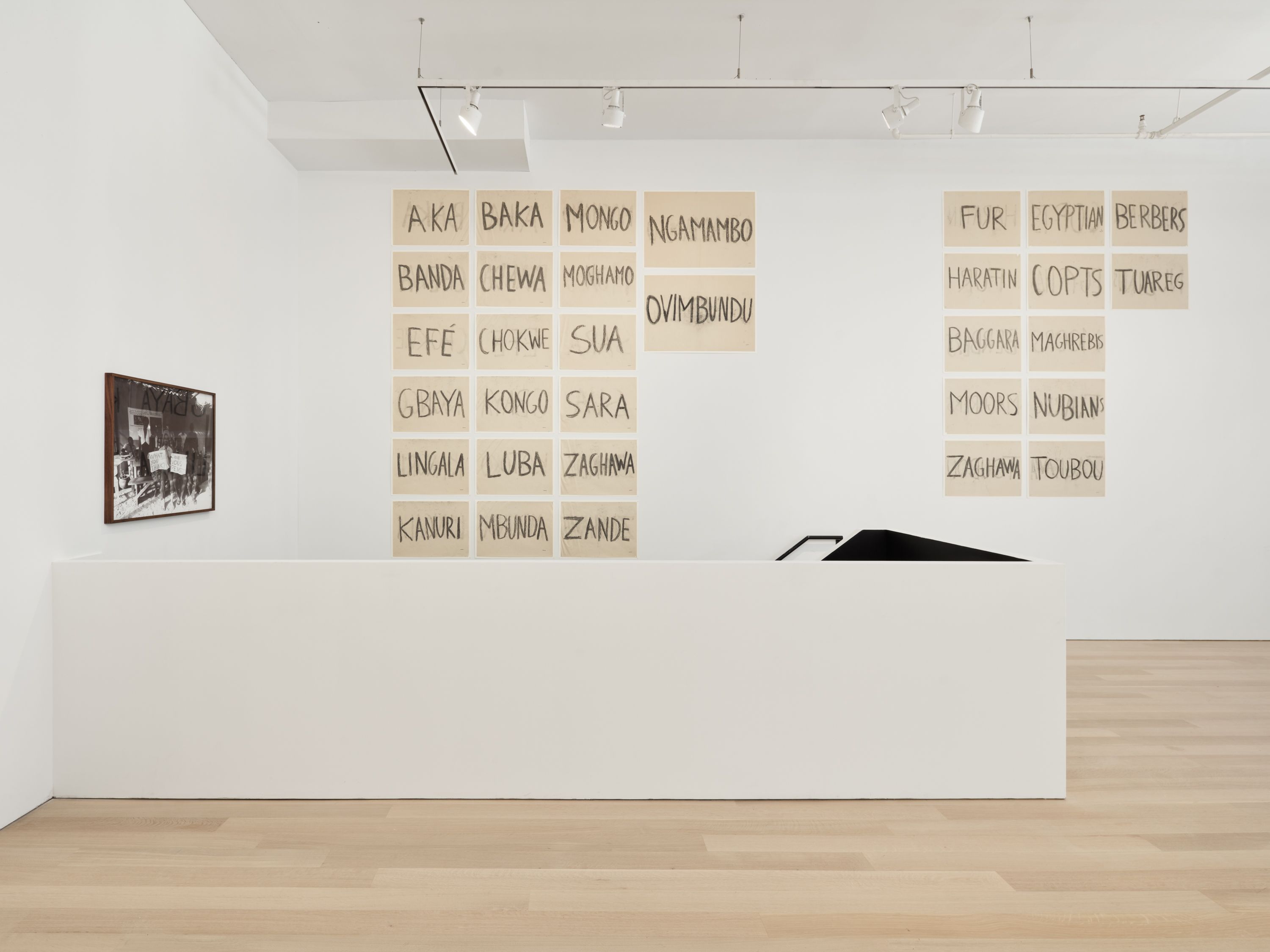 Paulo Nazareth, Nosotros Los Otros at Mendes Wood DM, photo 16