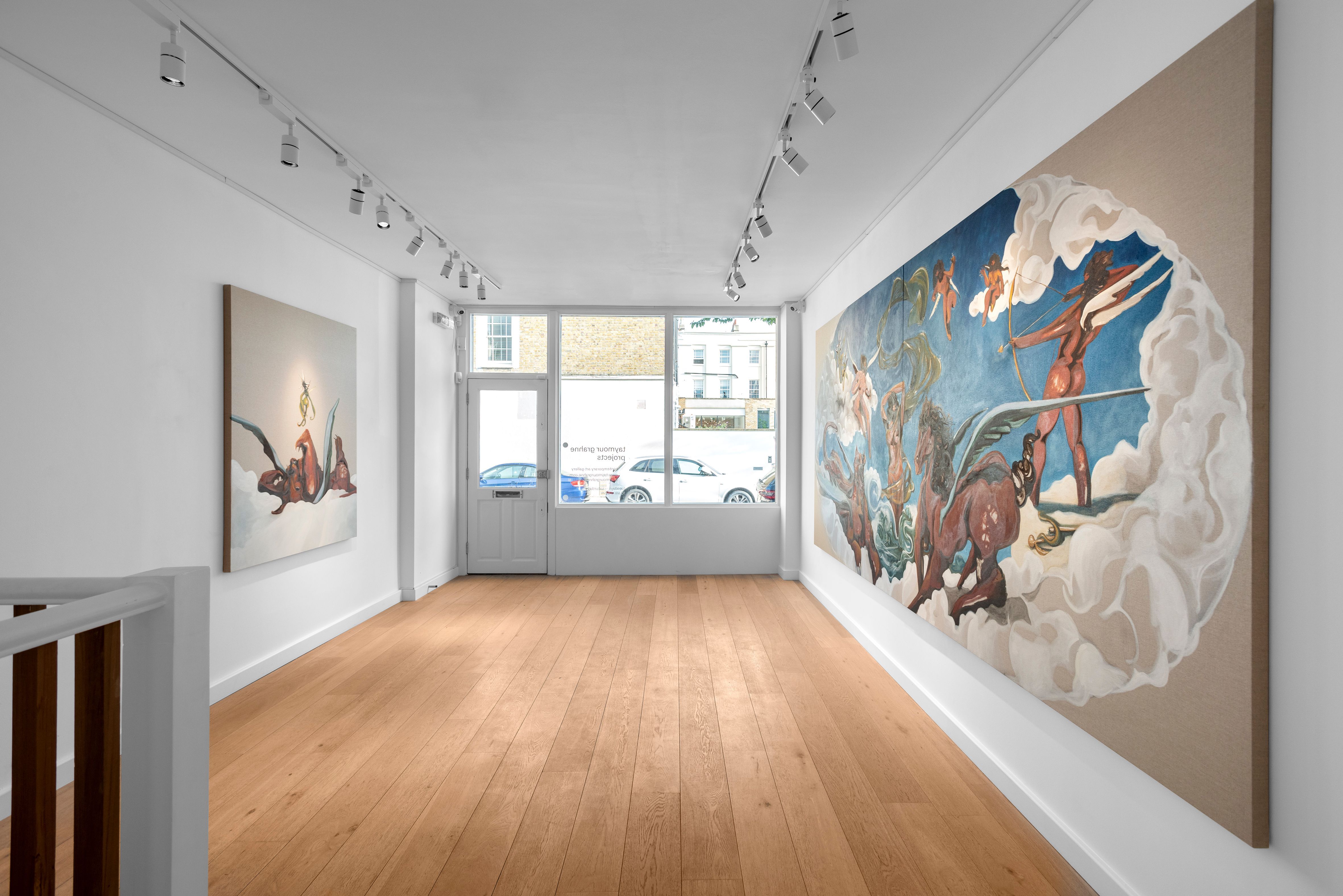 Asif Hoque, The American Loverboy at Taymour Grahne Projects, photo 5