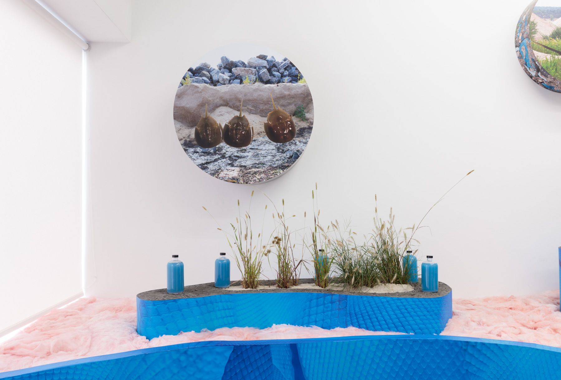 Rachael Champion, Interstate 495 is a Terminal Moraine at Hales Project Room, photo 3