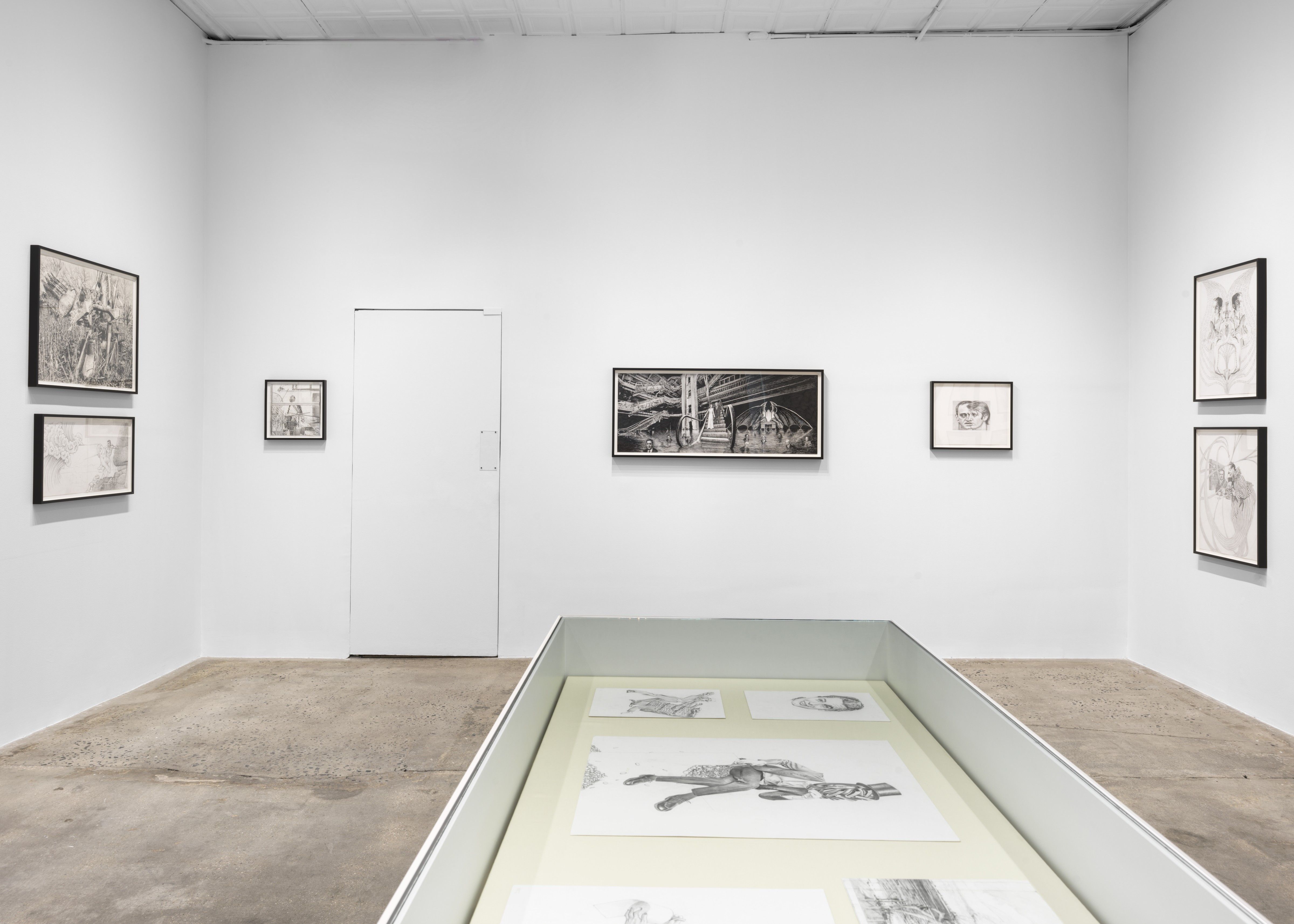 Jim Shaw, Drawings at Gagosian, photo 5