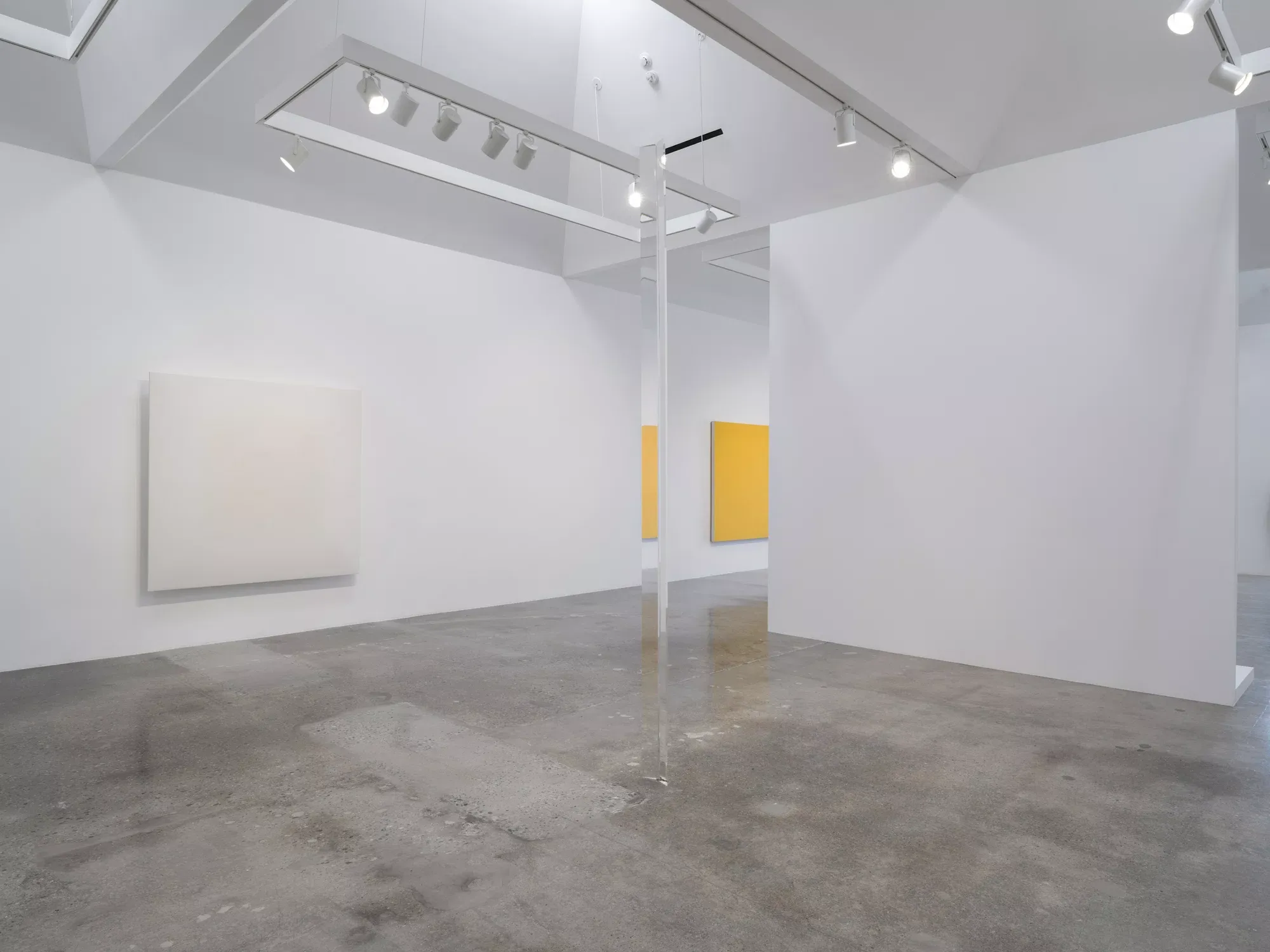 Robert Irwin, Robert Irwin at Pace Gallery, photo 4