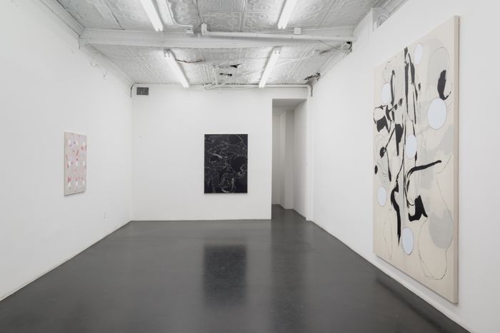 Zak Prekop, Zak Prekop at Essex Street, photo 4