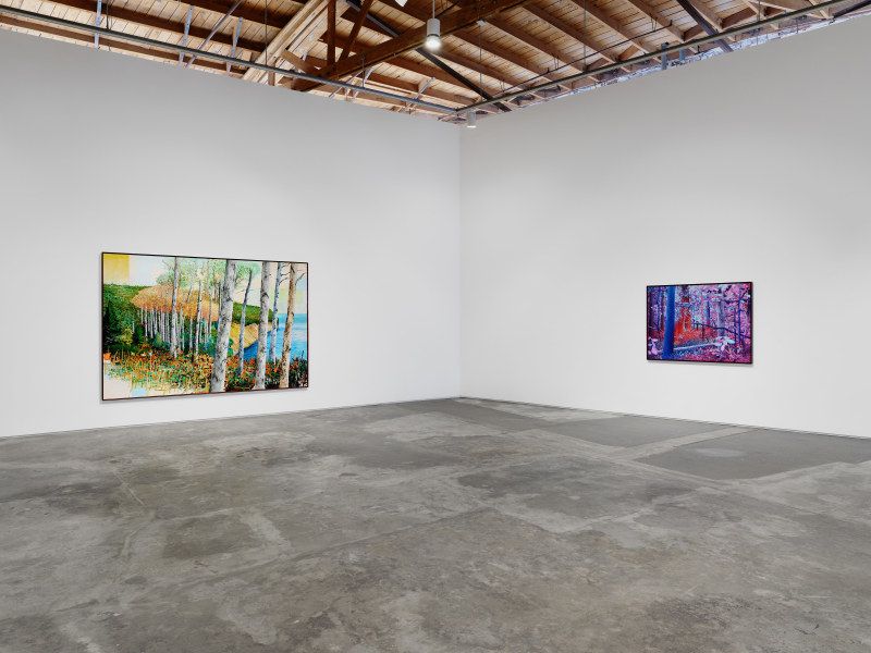 Ross Caliendo, Peace Fellow at Night Gallery, photo 5
