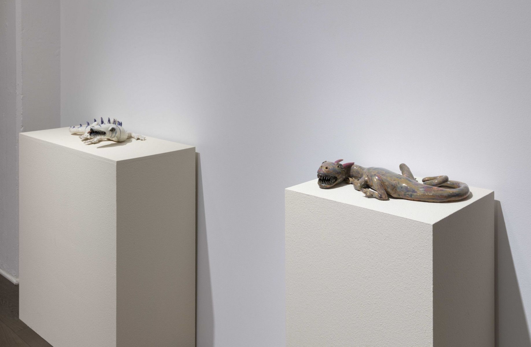 Becky Tucker, Umbra at Steve Turner, photo 7