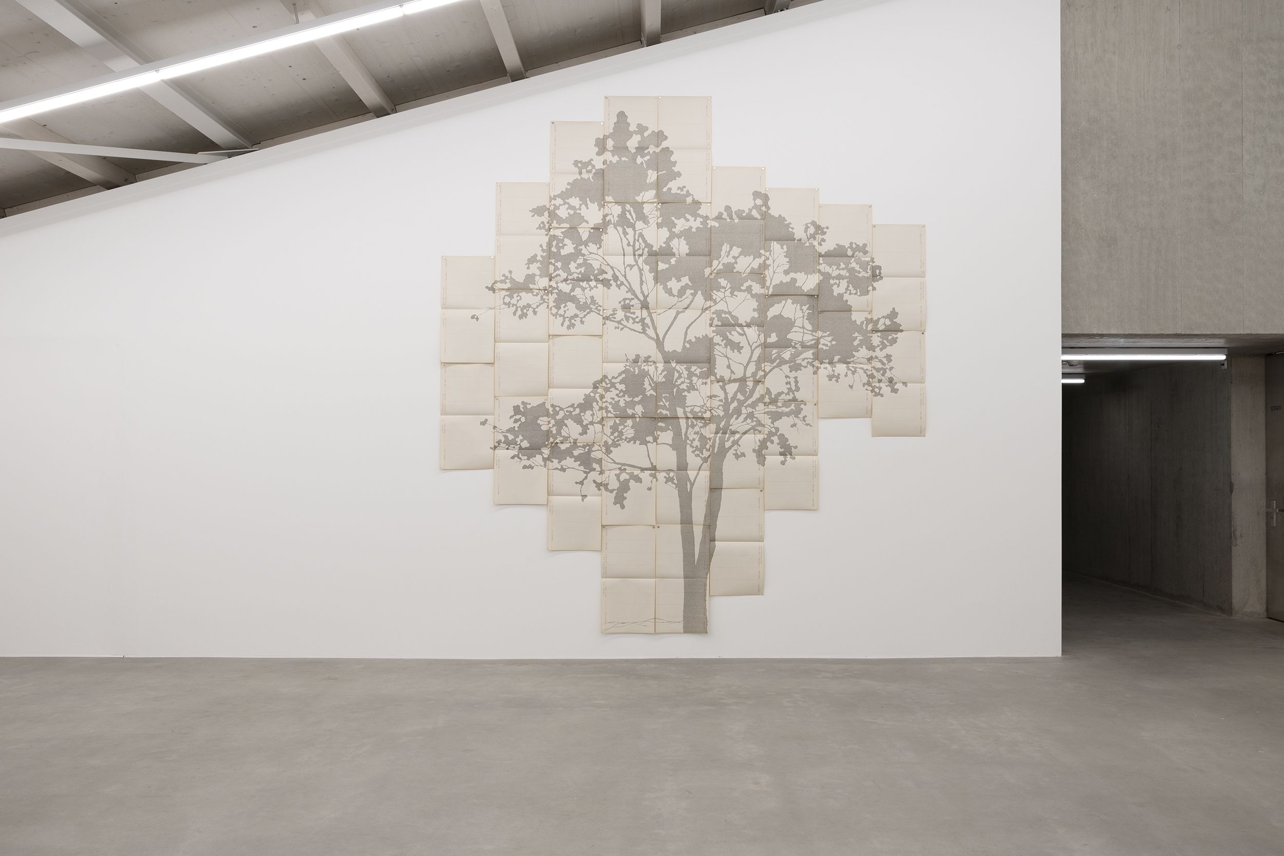 Whispers From Tides and Forests, Whispers From Tides and Forests at Kunsthaus Baselland, photo 8