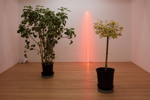 Cerith Wyn Evans, Shade/Frequency... at Buchholz, photo 5