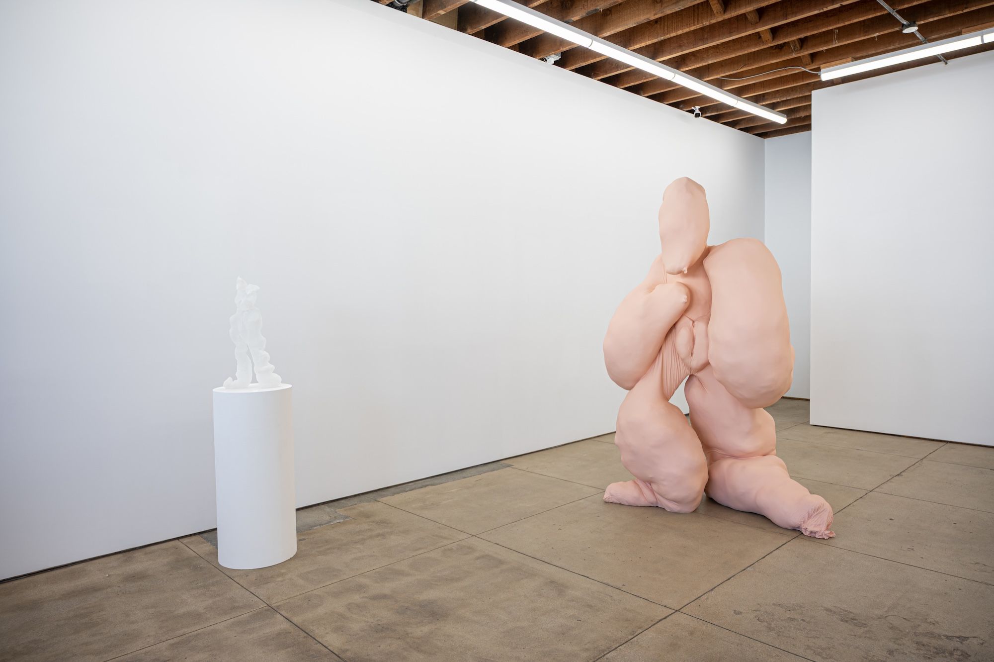 Polly Borland, Blobs and Bod at Wilding Cran, photo 2