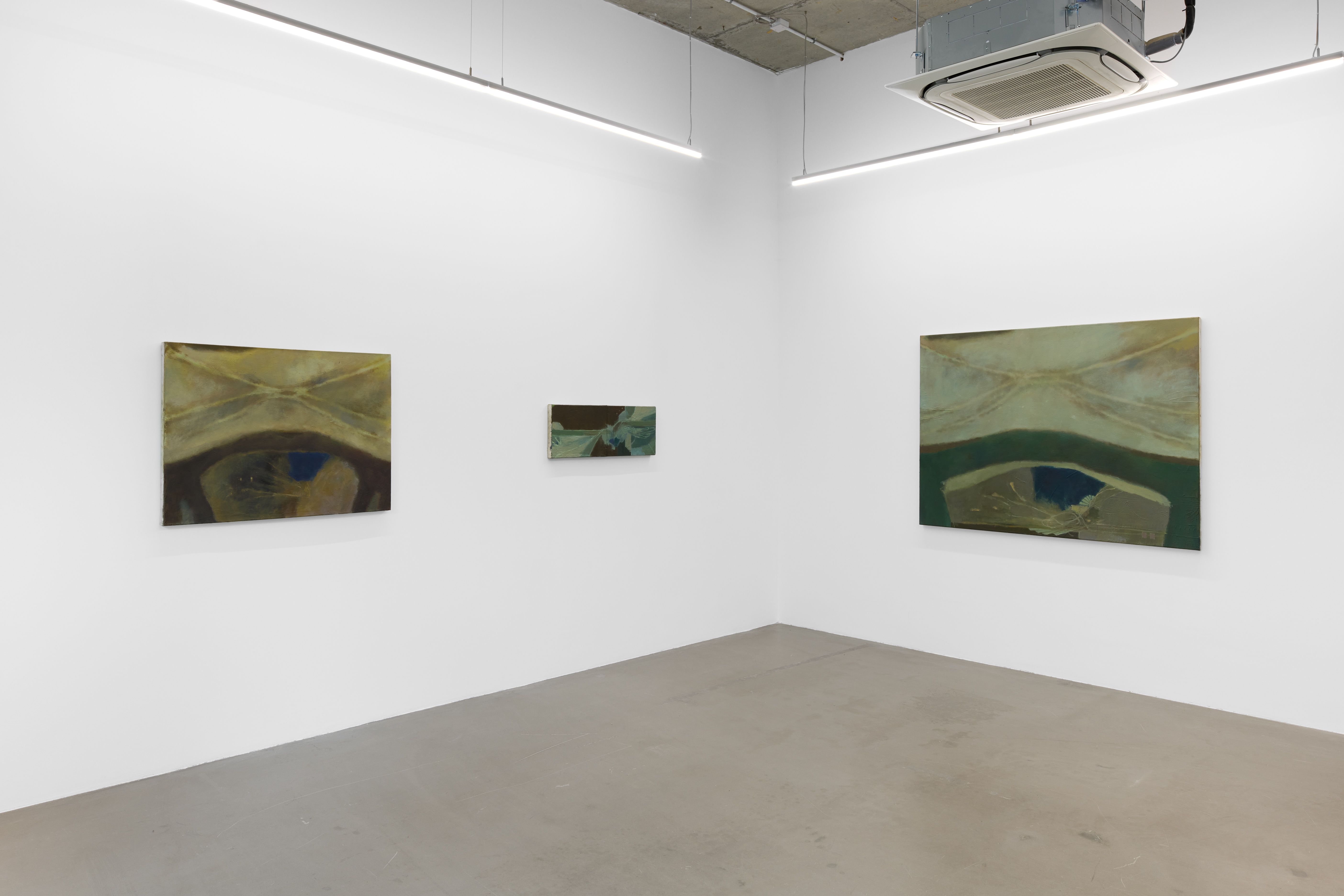 Yi To, Terminal Lucidity at Project Native Informant, photo 2