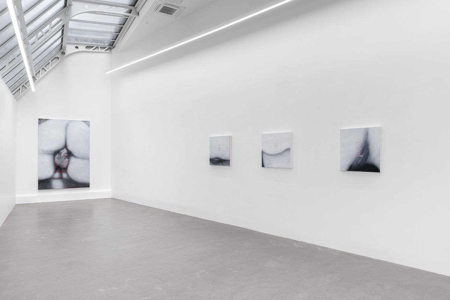 Betty Tompkins, Sex Paintings at Bremond Capela, photo 4