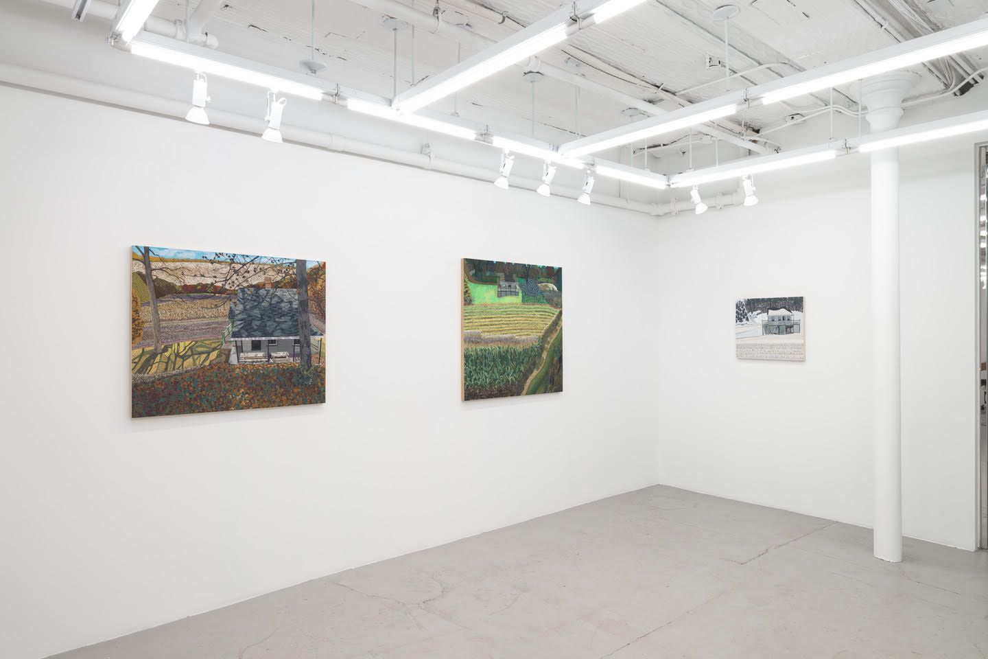 Ann Toebbe, Field and Stream of Consciousness at Nicelle Beauchene, photo 5
