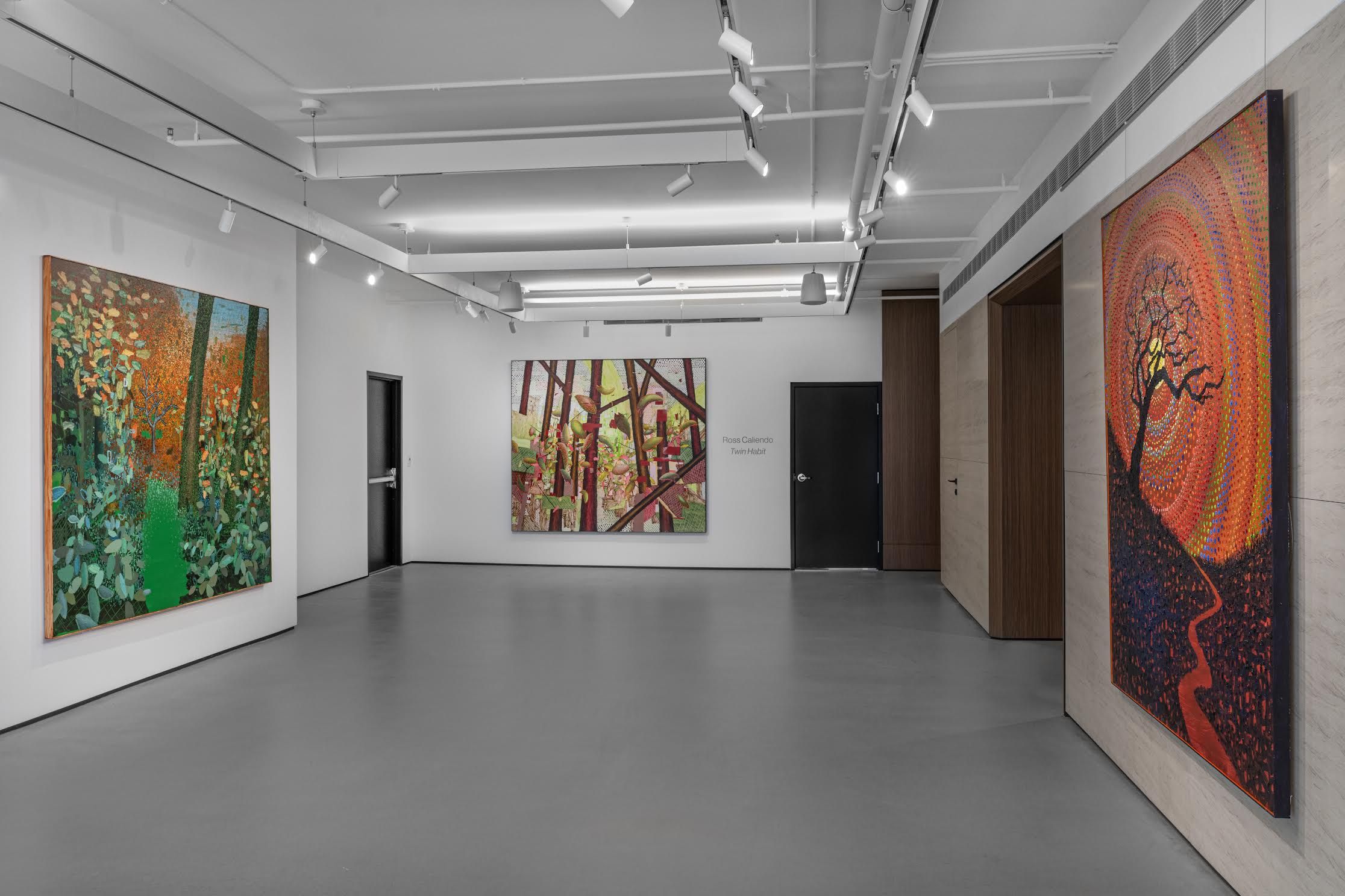 Ross Caliendo, Twin Habit at Ross + Kramer, photo 4