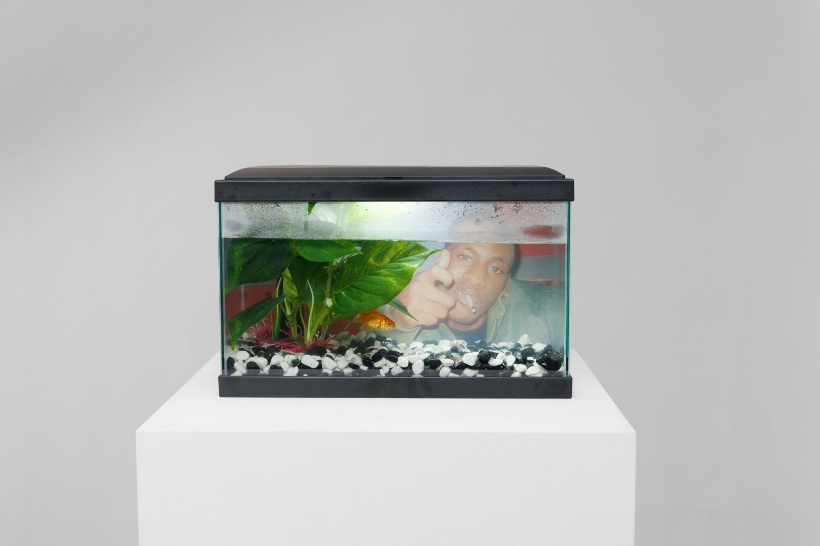 Rapture, Rapture at Balice Hertling, photo 9