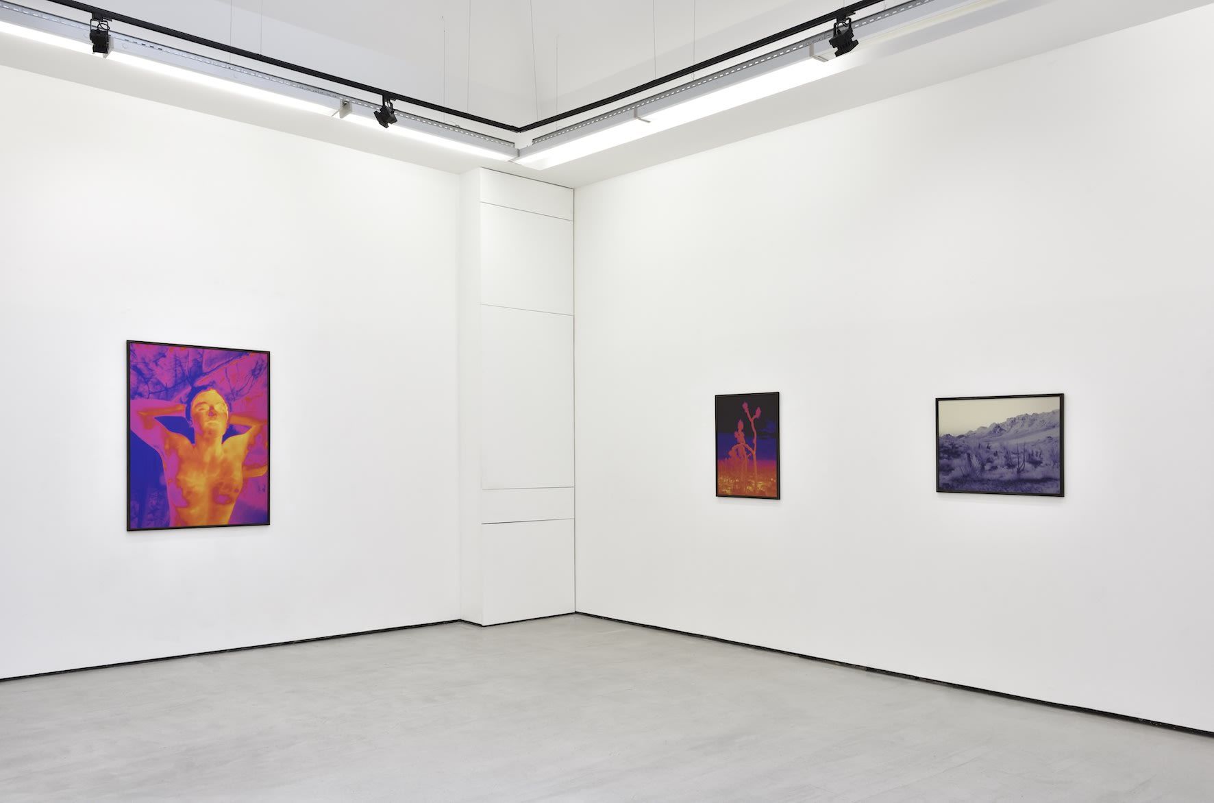 Smith, Dami at Christophe Gaillard, photo 5