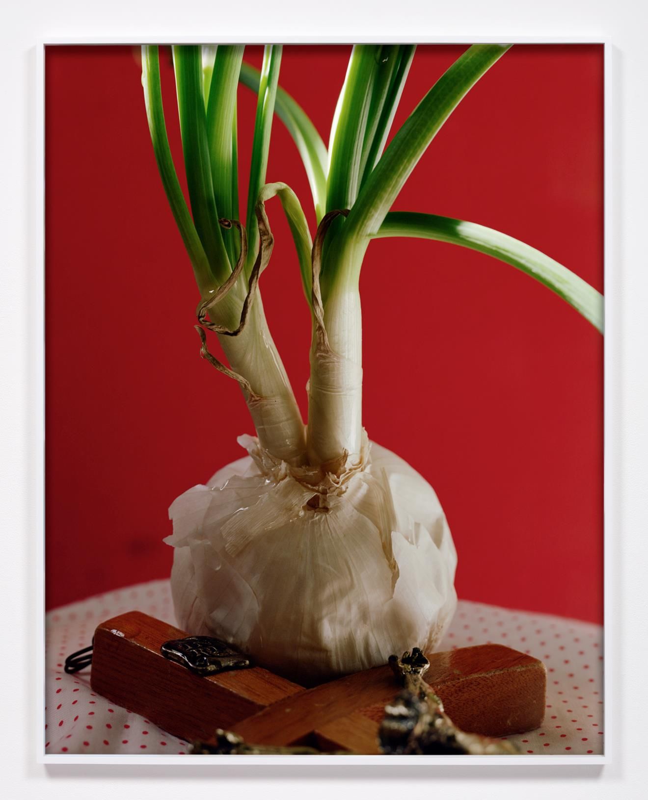 Torbjørn Rødland, Pain in the Shell at David Kordansky Gallery, photo 2