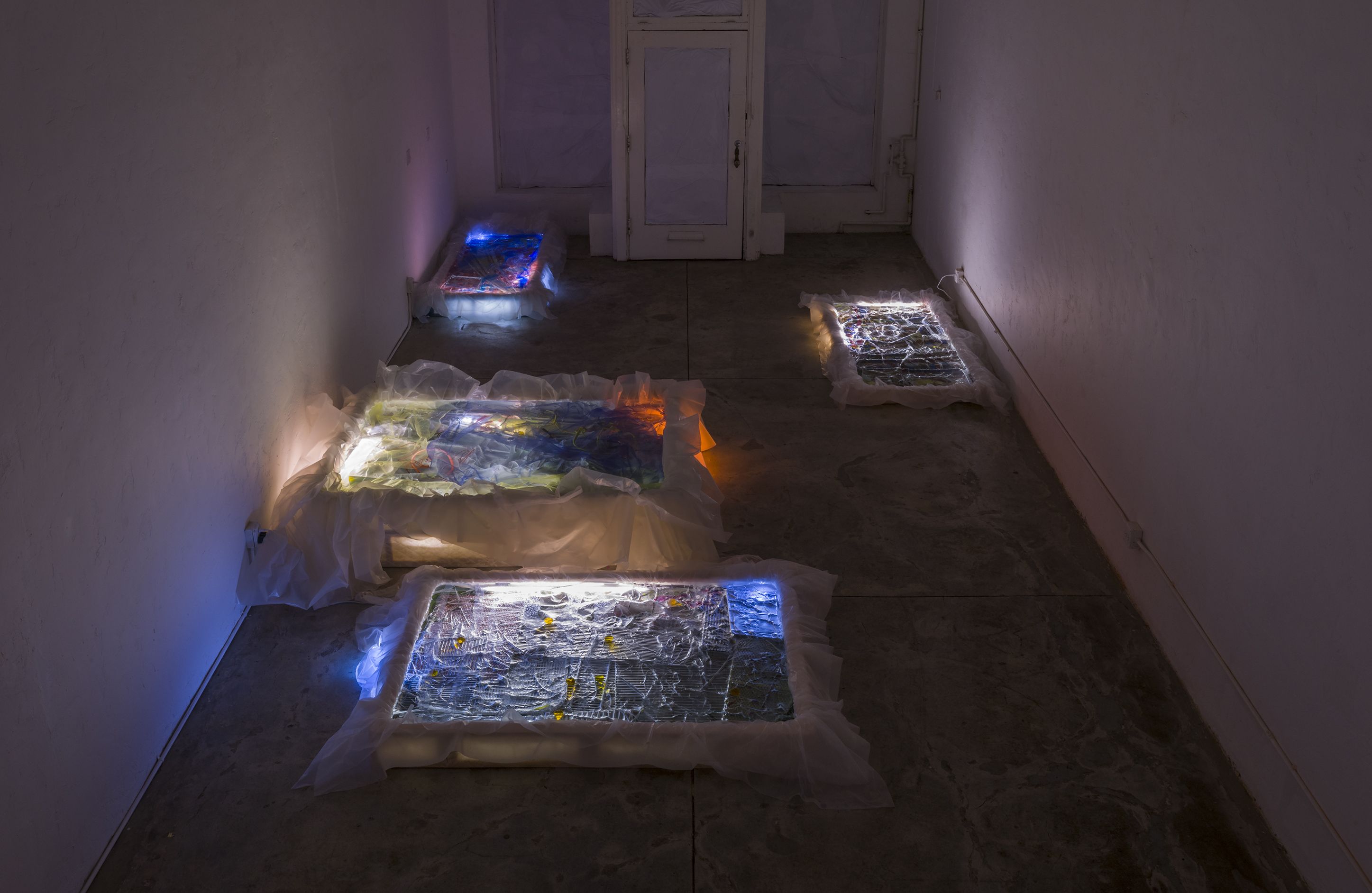 Samara Scott, image 3 of 7