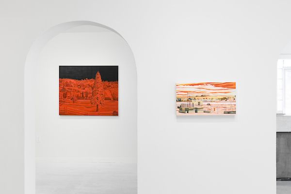 Nicole Irene Anderson, A Tangled Coexistence at Johansson Projects, photo 6