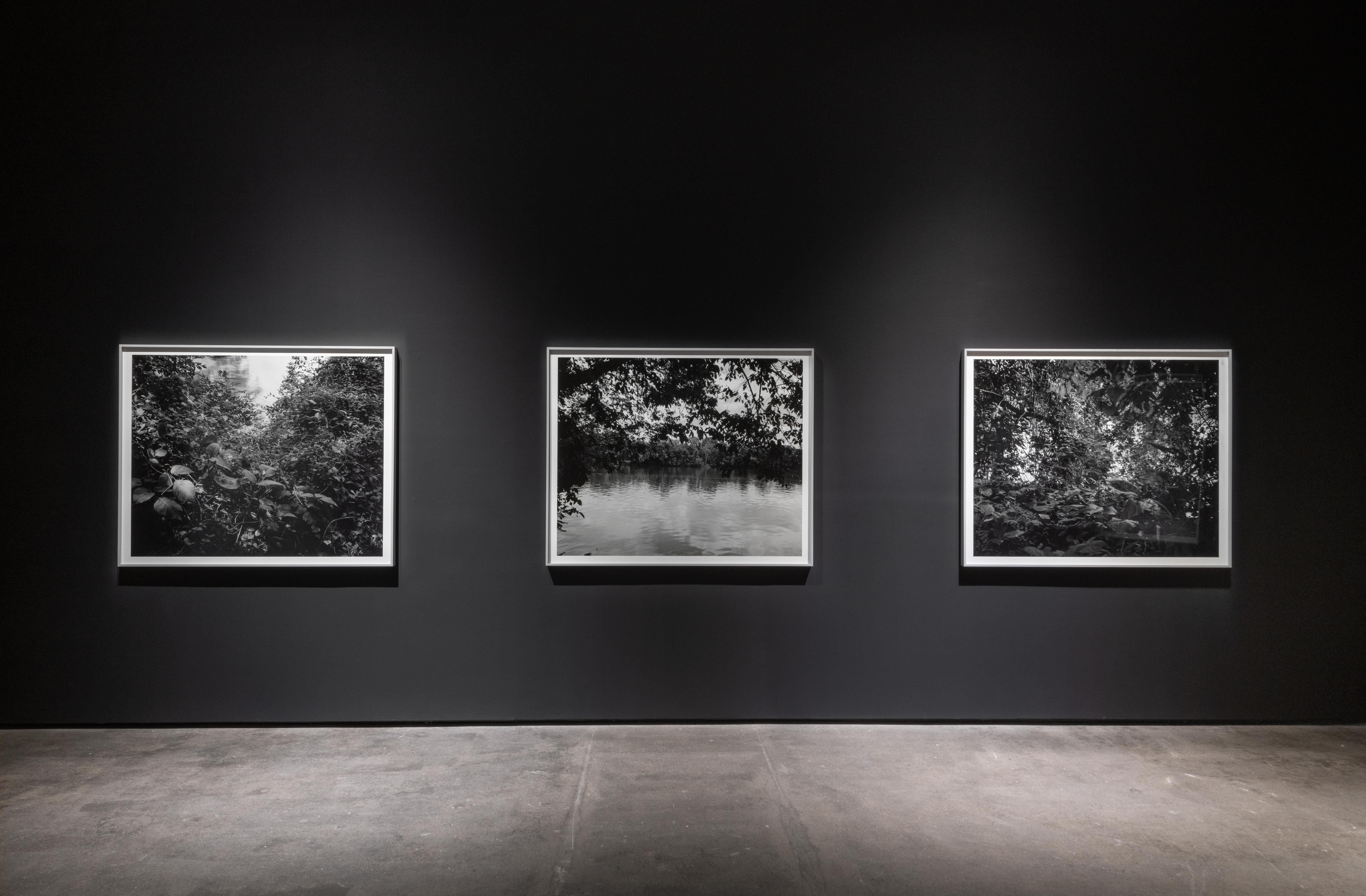 Installation view 5