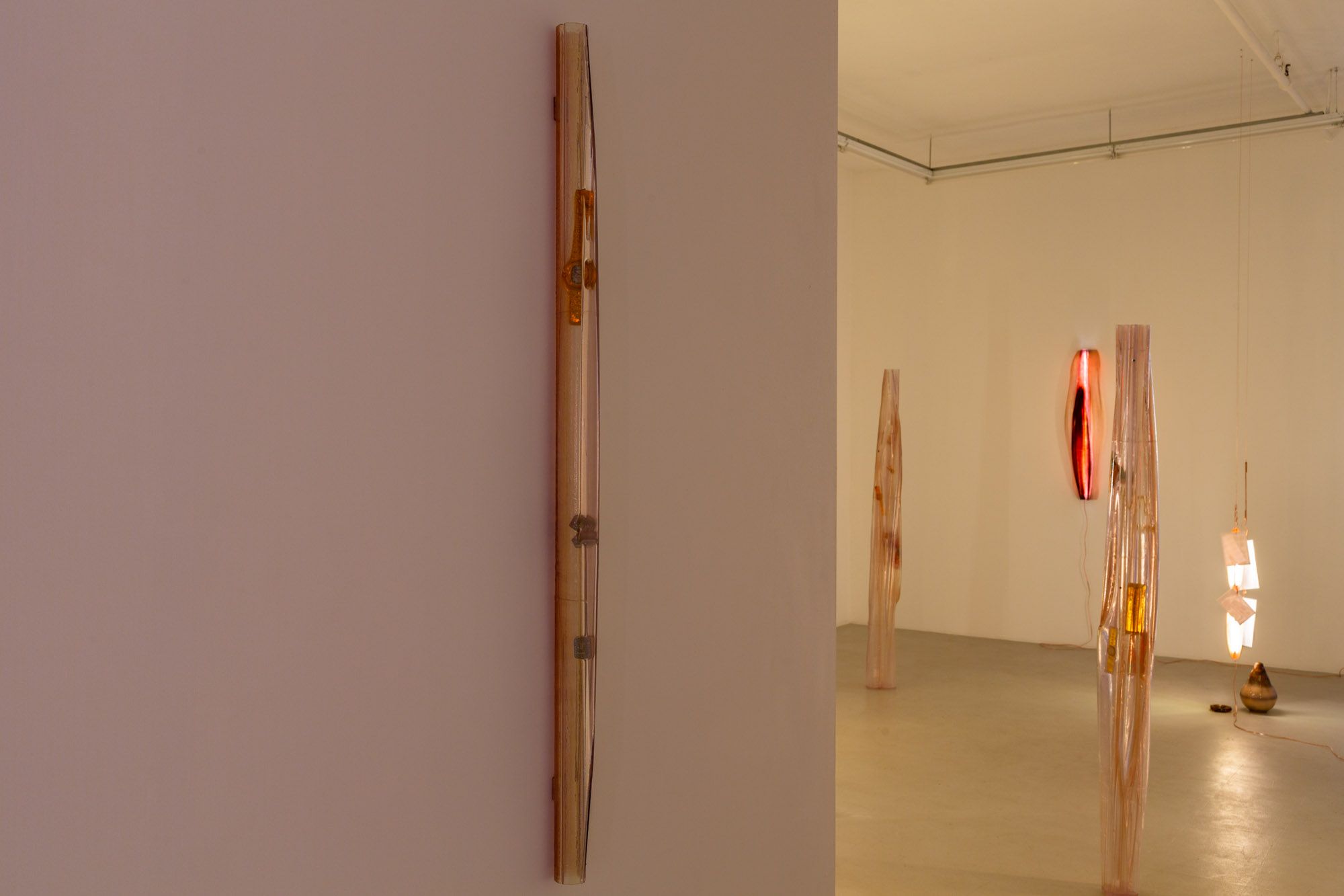 Kim Farkas, image 6 of 7