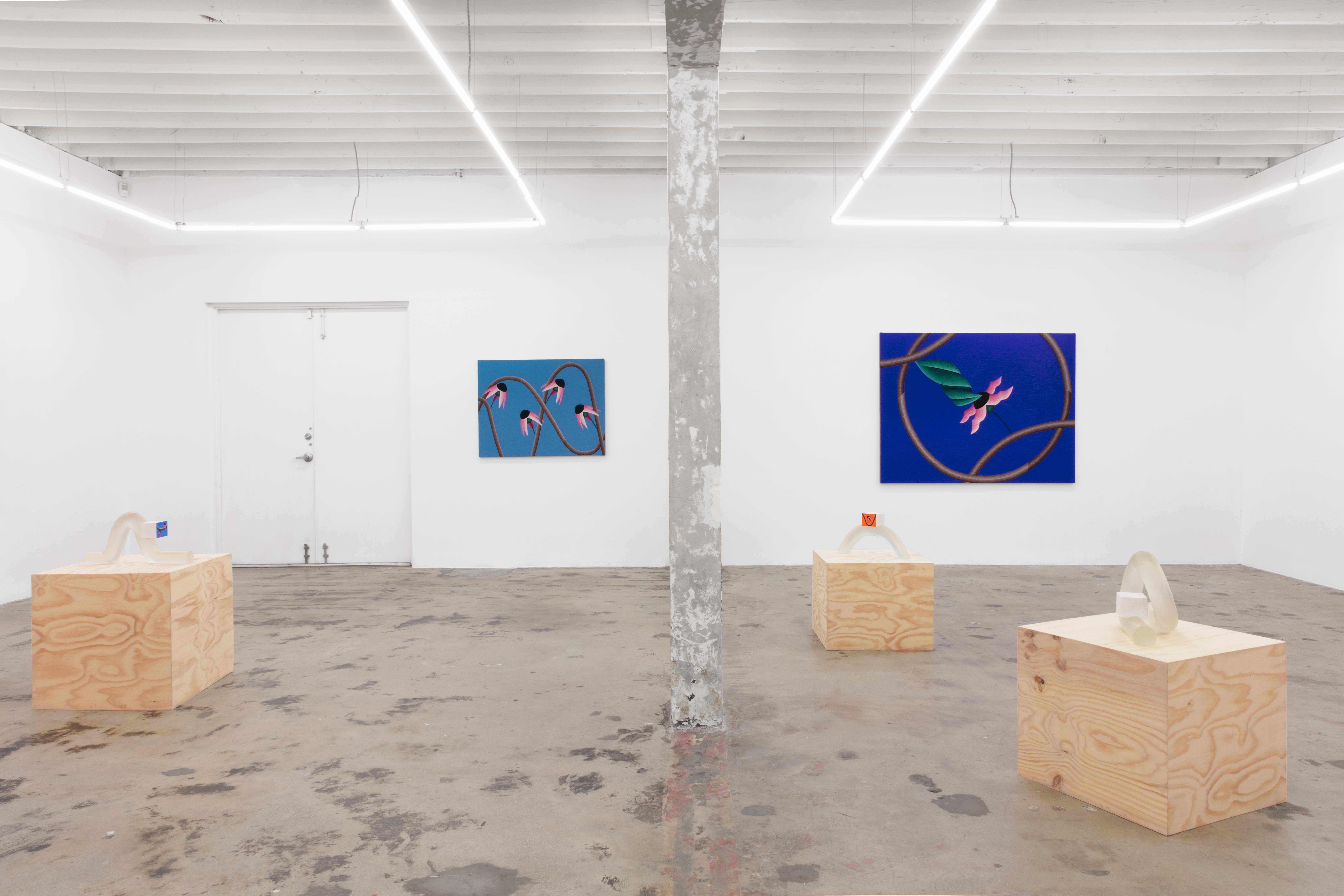 Nadia Ayari, Eyelash in the Unknown at Nina Johnson, photo 2