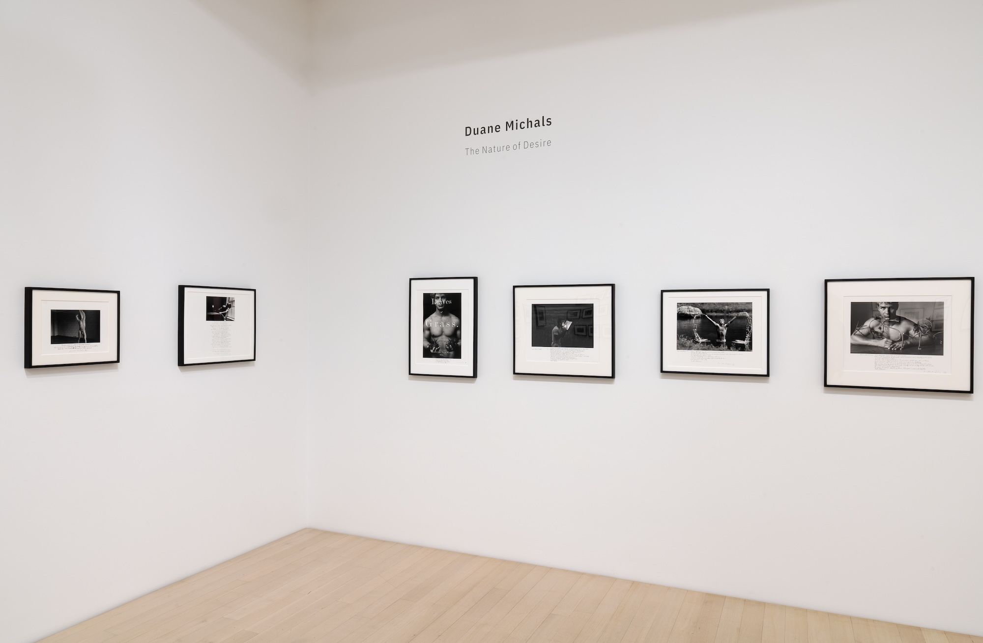 Duane Michals, The Nature of Desire at DC Moore, photo 5