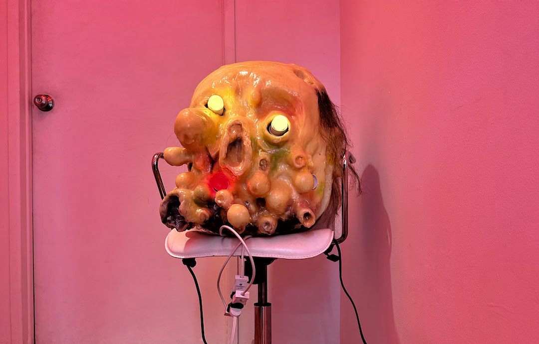 Rolf Nowotny, Dapper Peepers at No Gallery, photo 3