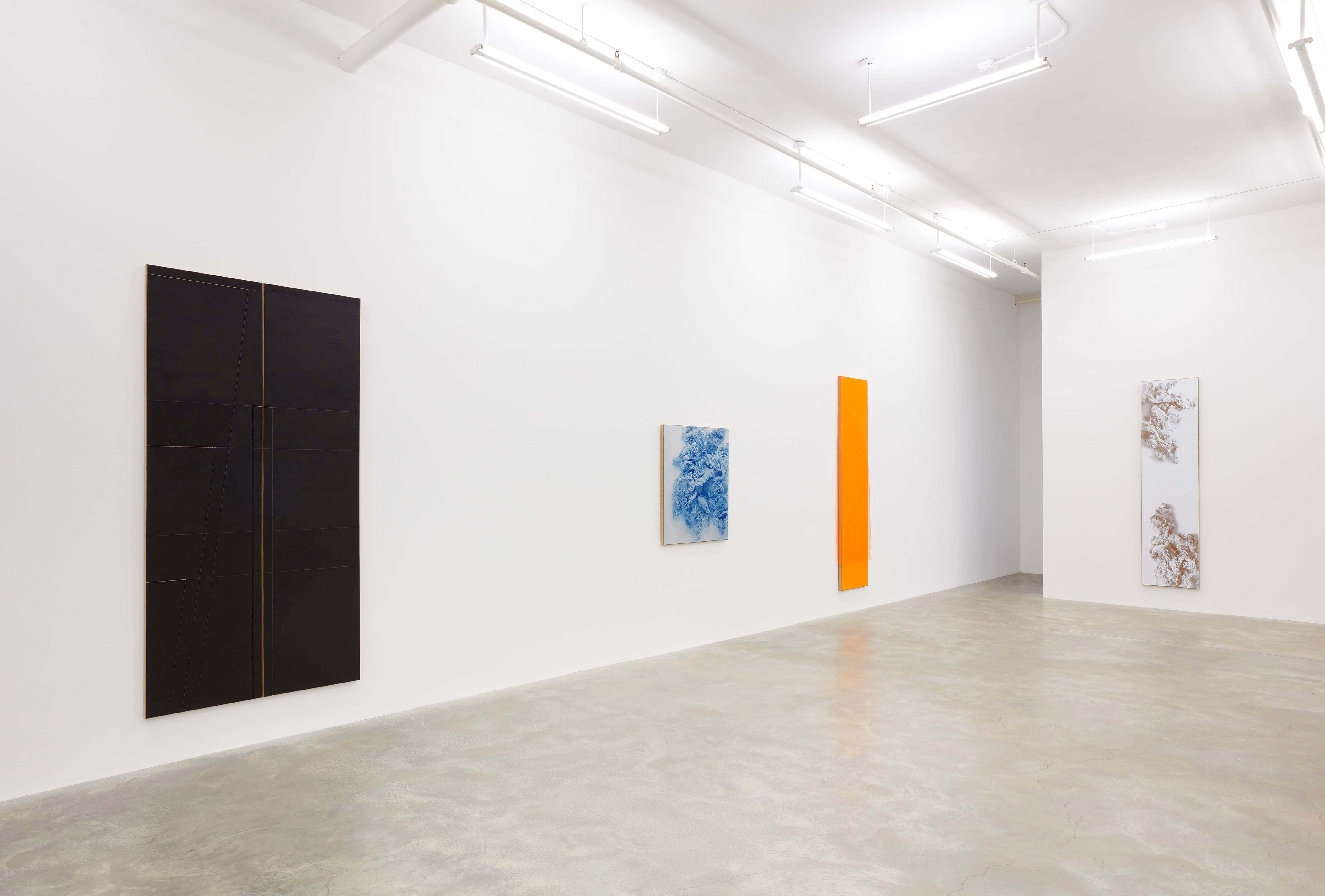 N. Dash, N. Dash at Casey Kaplan, photo 11