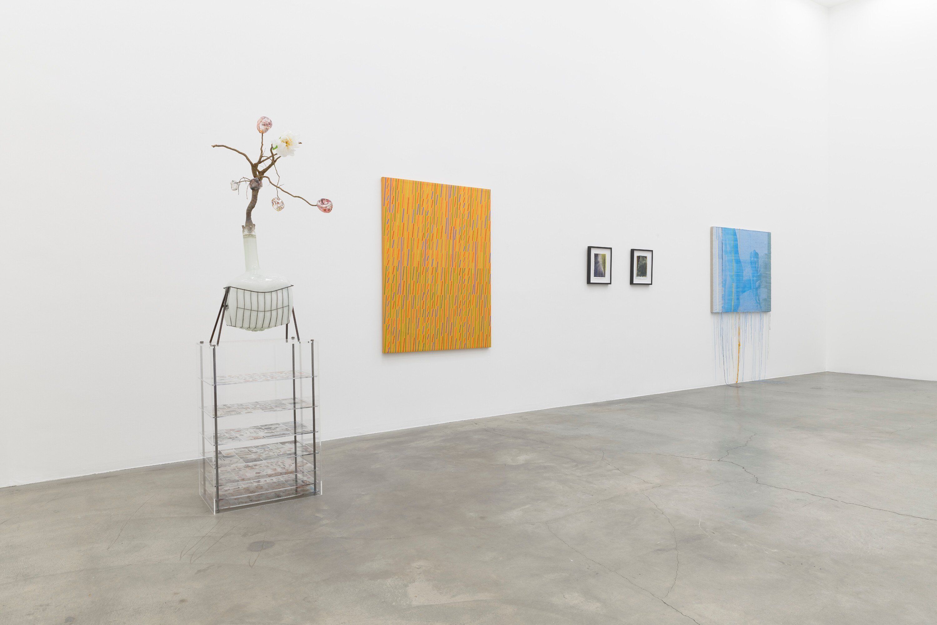 Variations on a Theme, Variations on a Theme at Anat Ebgi, photo 10