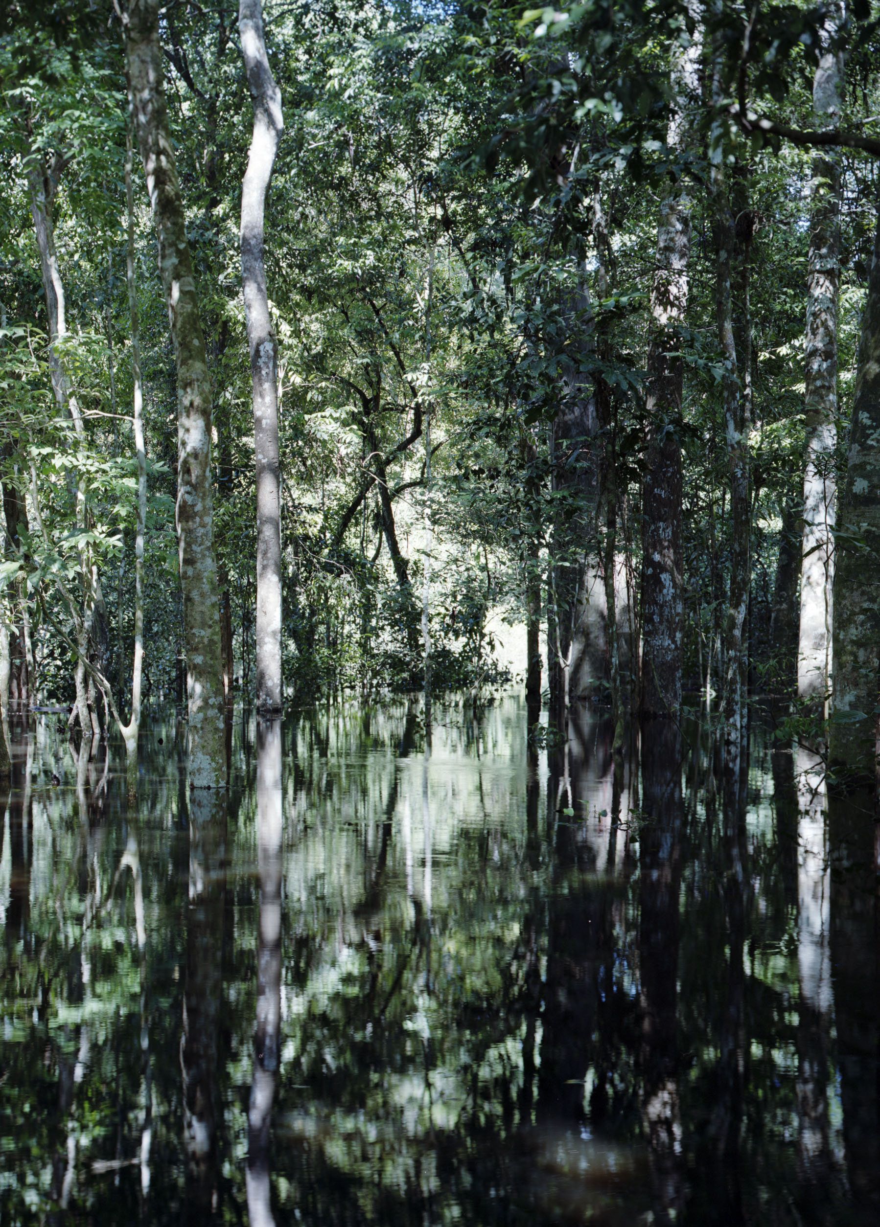 Axel Hütte, Kosmos Tropical at Daniel Marzona, photo 2