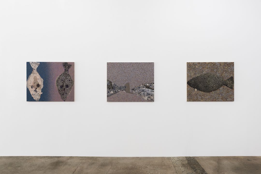 Adam Higgins, Flatfish at Hunter Shaw Fine Art, photo 4
