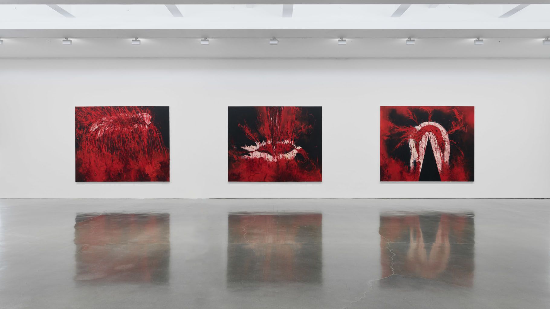 Anish Kapoor, Anish Kapoor at Regen Projects, photo 3