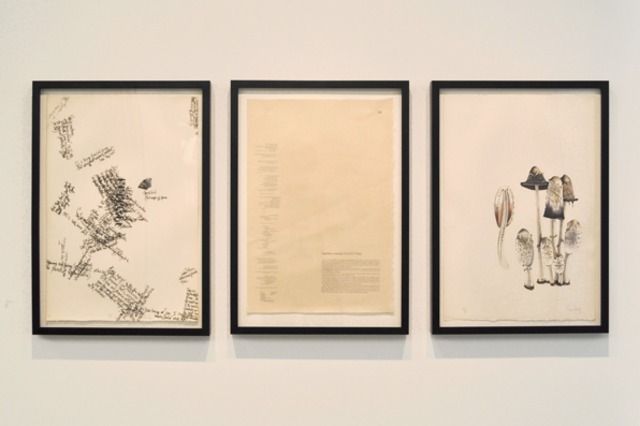 John Cage, Artist and Naturalist at The Horticultural Society, photo 4