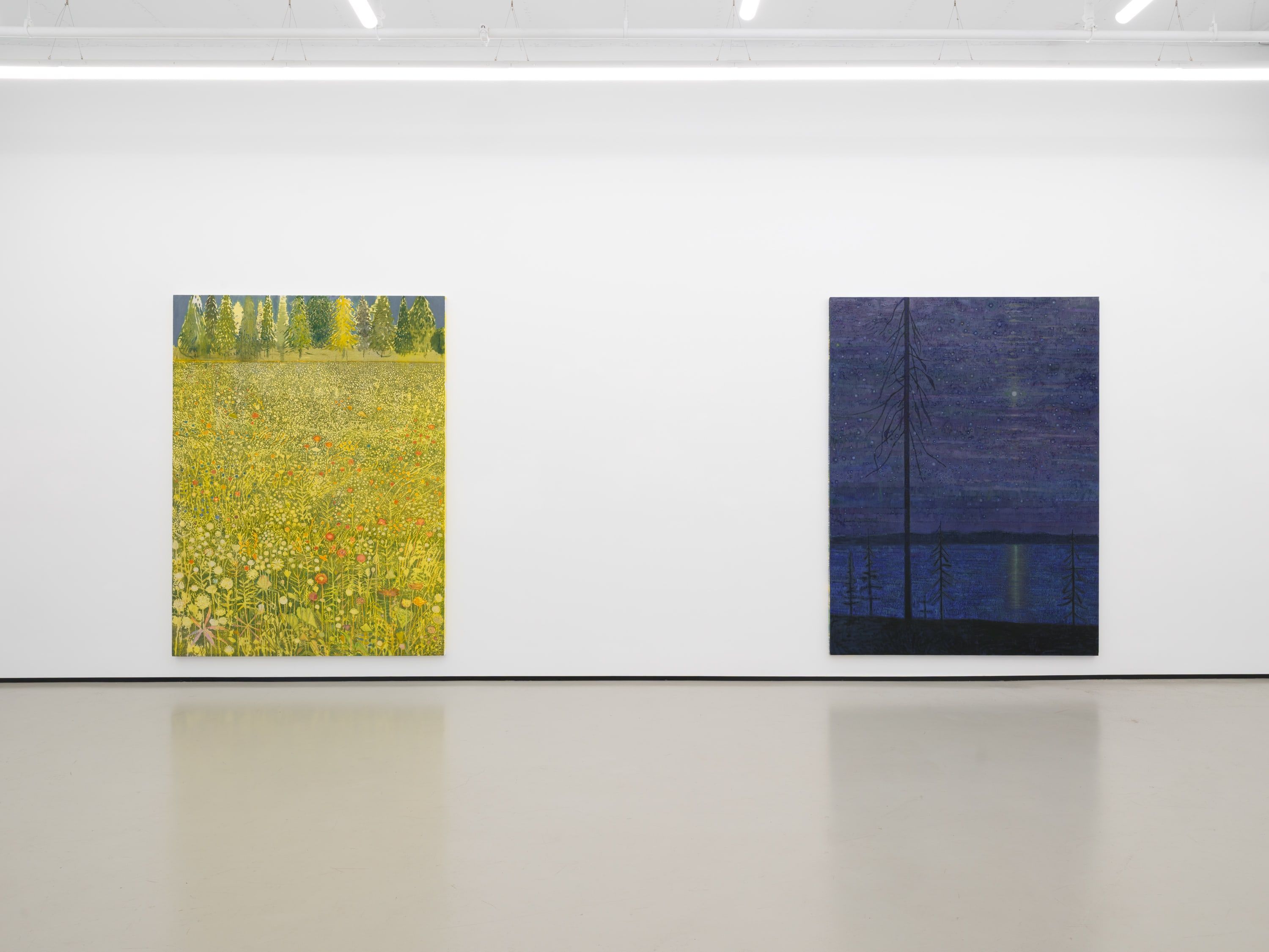 Sky Glabush, All Night I Heard a Singing Bird at Philip Martin Gallery, photo 2