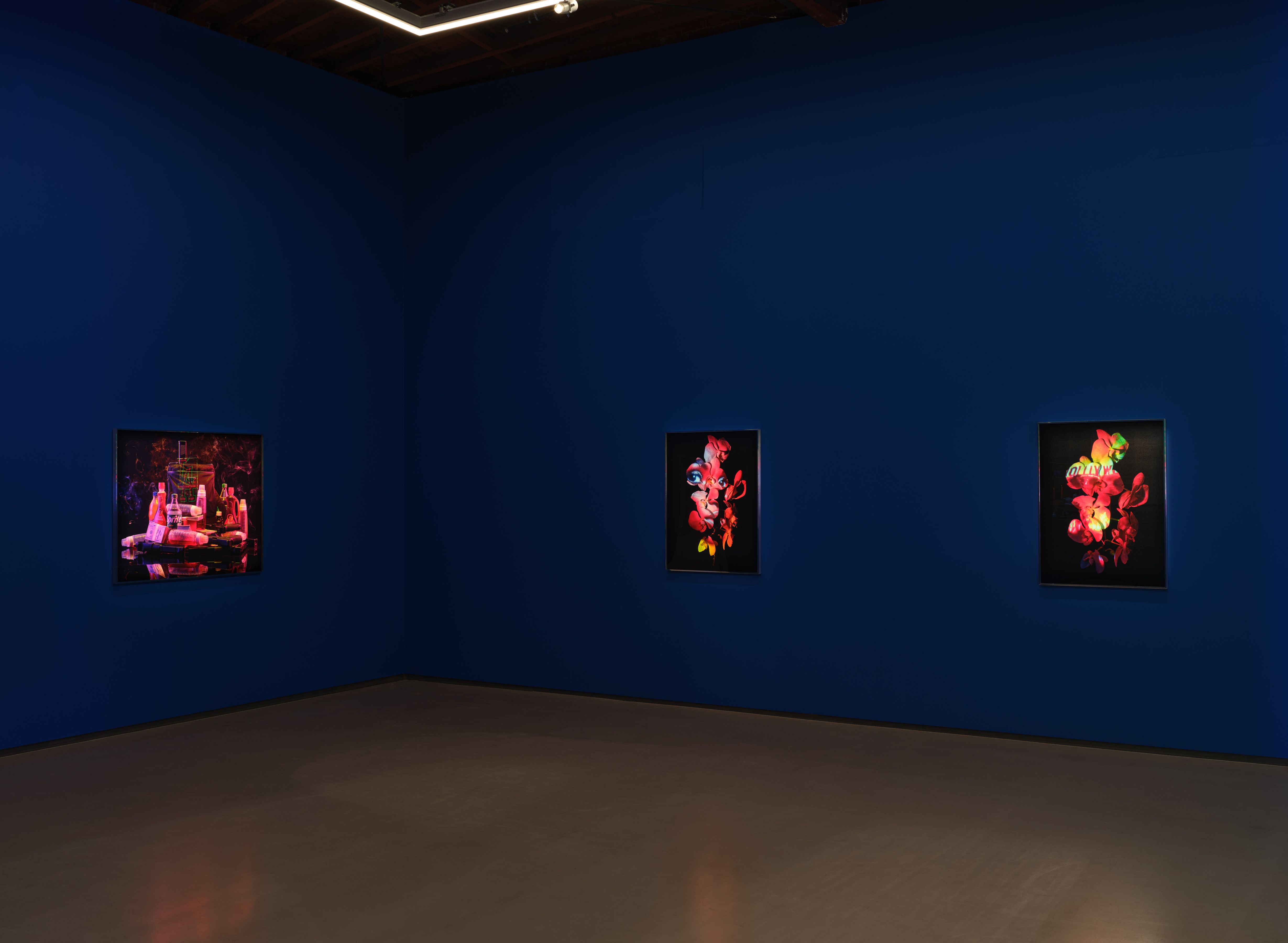 Awol Erizku, Moon, Turn the Flames...Gently Gently Away at Sean Kelly, photo 7