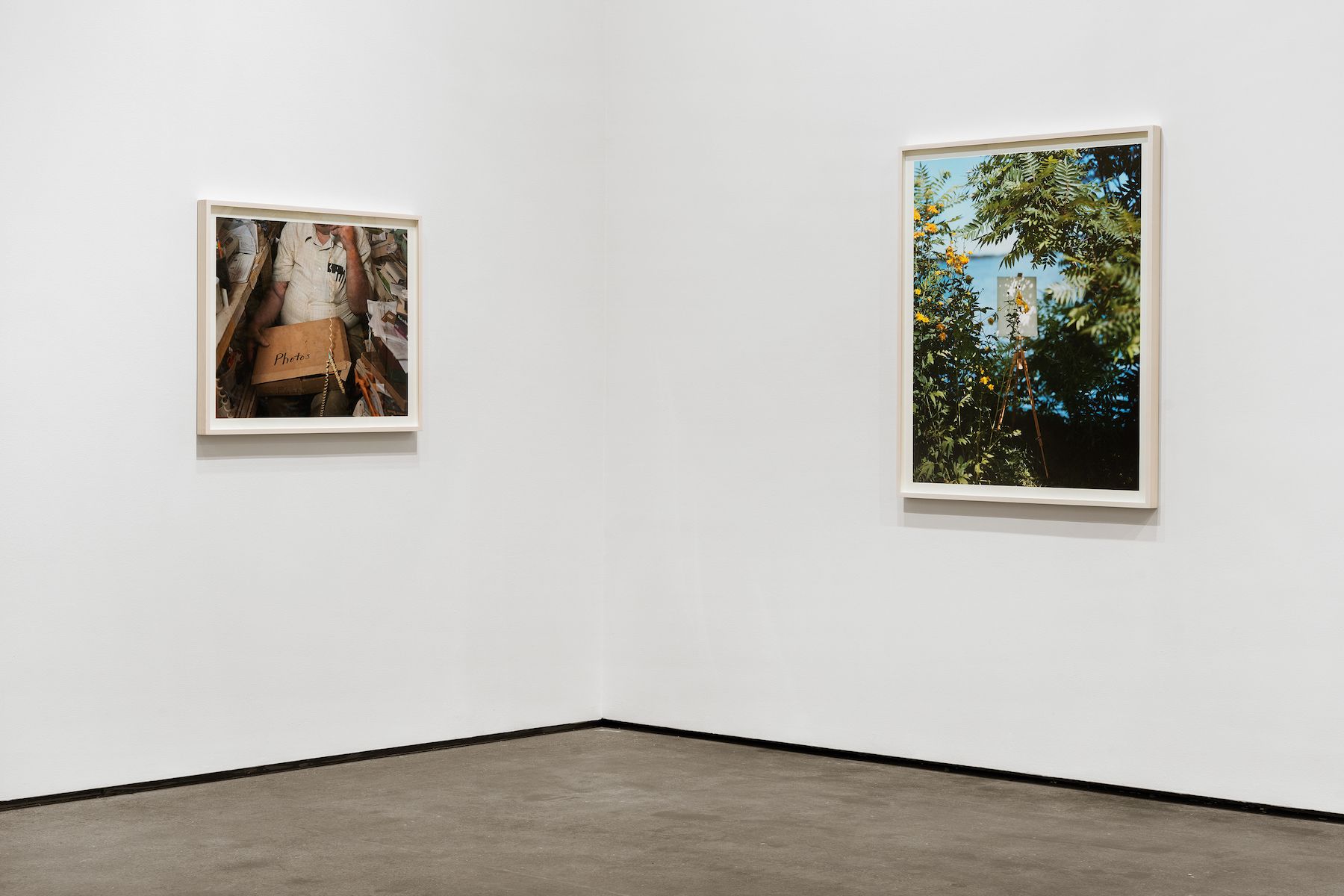 Installation view 4