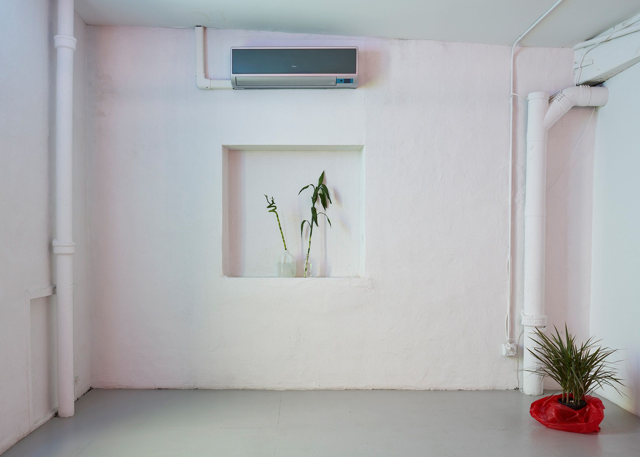 Melanie Bonajo, Nocturnal Gardening at Company, photo 6